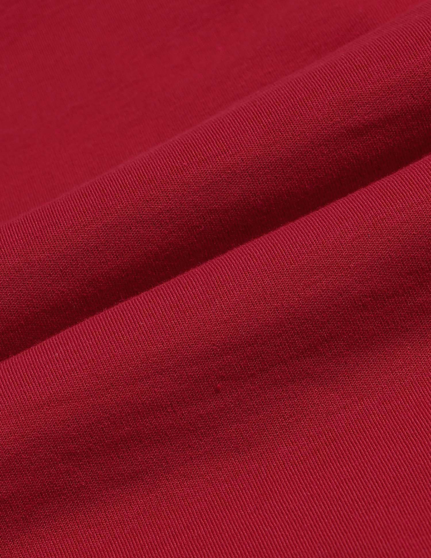 Boys Colourblock Regular Fit Polo Shirt Medium Red - U.S. POLO ASSN. | Large