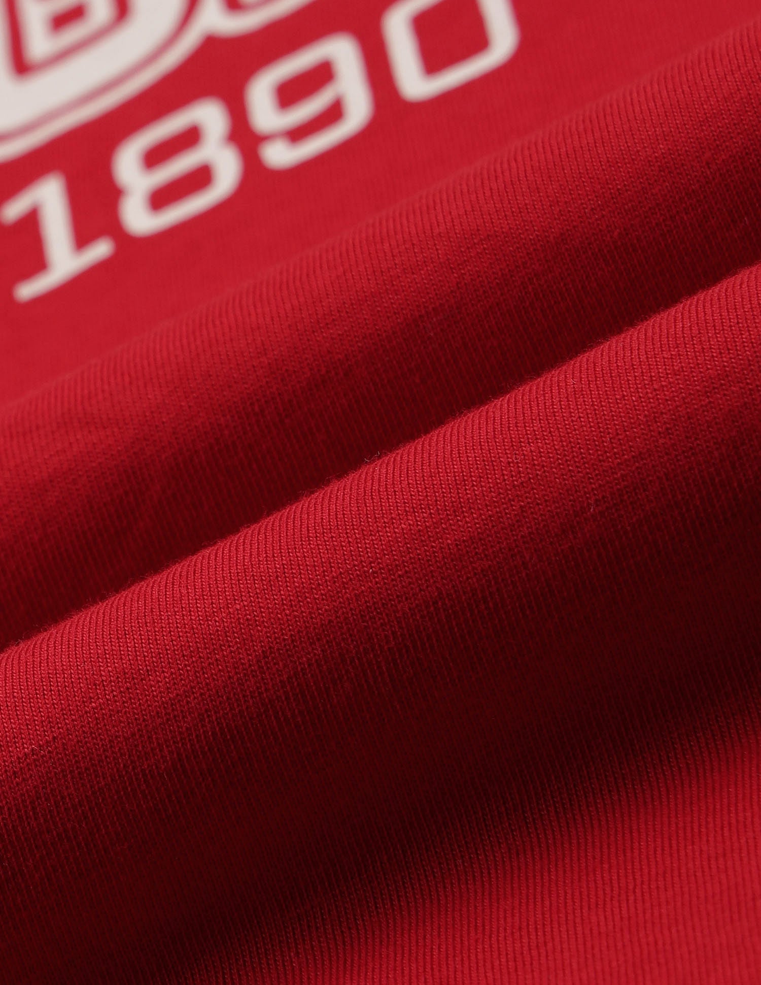 Brand Printed Boxy Fit T-Shirt Red - U.S. POLO ASSN. | Large