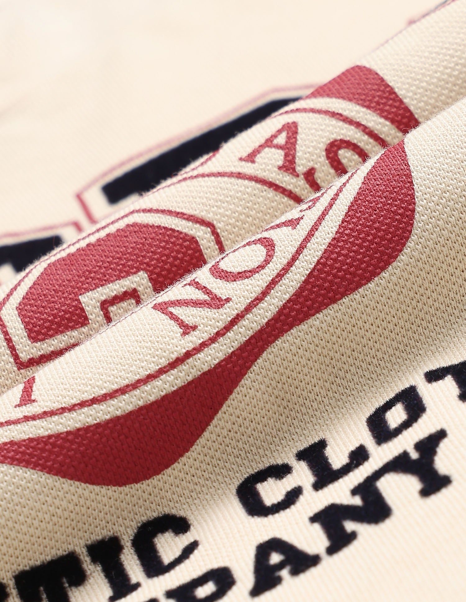 Boys Graphic Printed Pure Cotton T Shirt Ecru - U.S. POLO ASSN. | Large