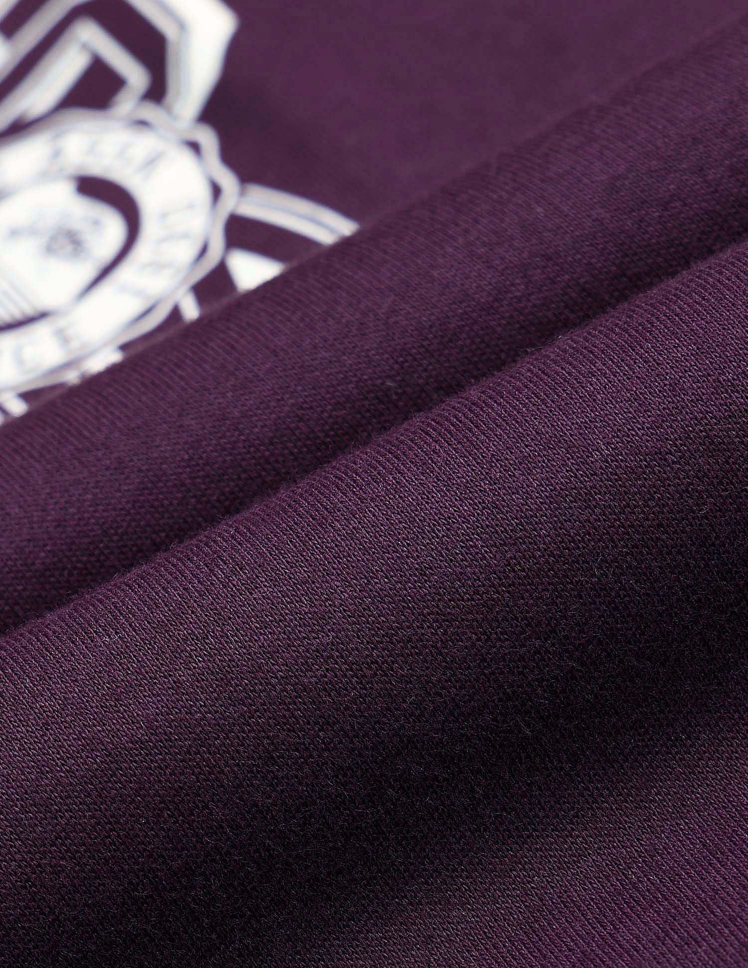 Oversized Fit Solid Polo Shirt Wine - U.S. POLO ASSN. | Large