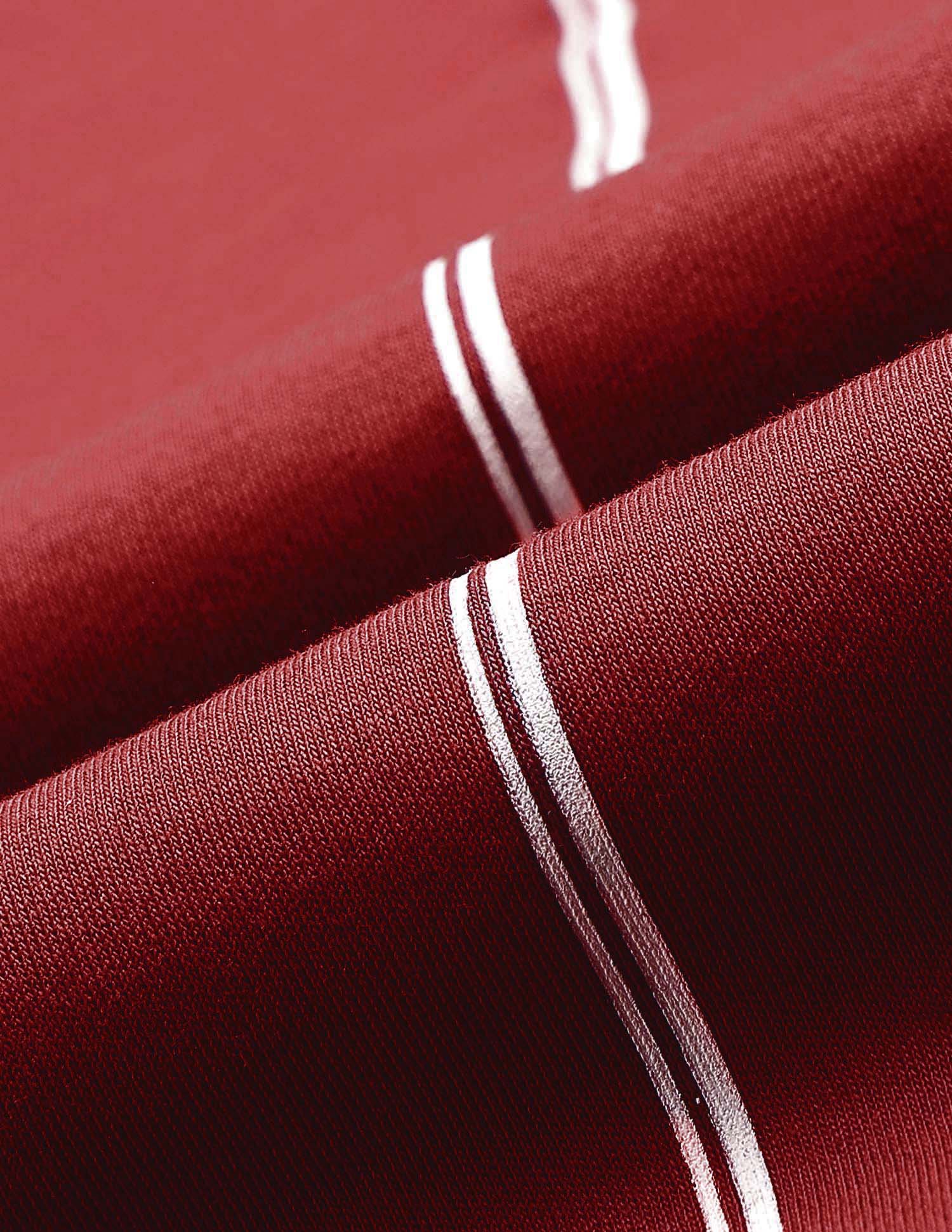 Vertical Striped Slim Fit Polo Shirt Red - U.S. POLO ASSN. | Large