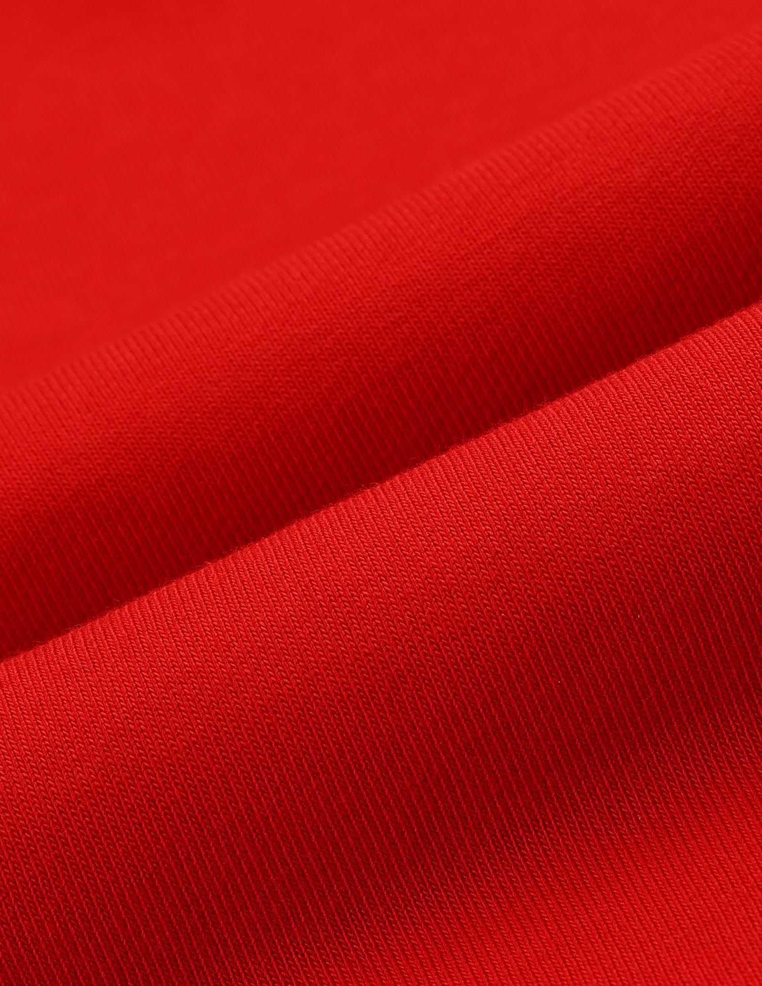 Regular Fit Solid Sweatshirt Red - U.S. POLO ASSN. | Large