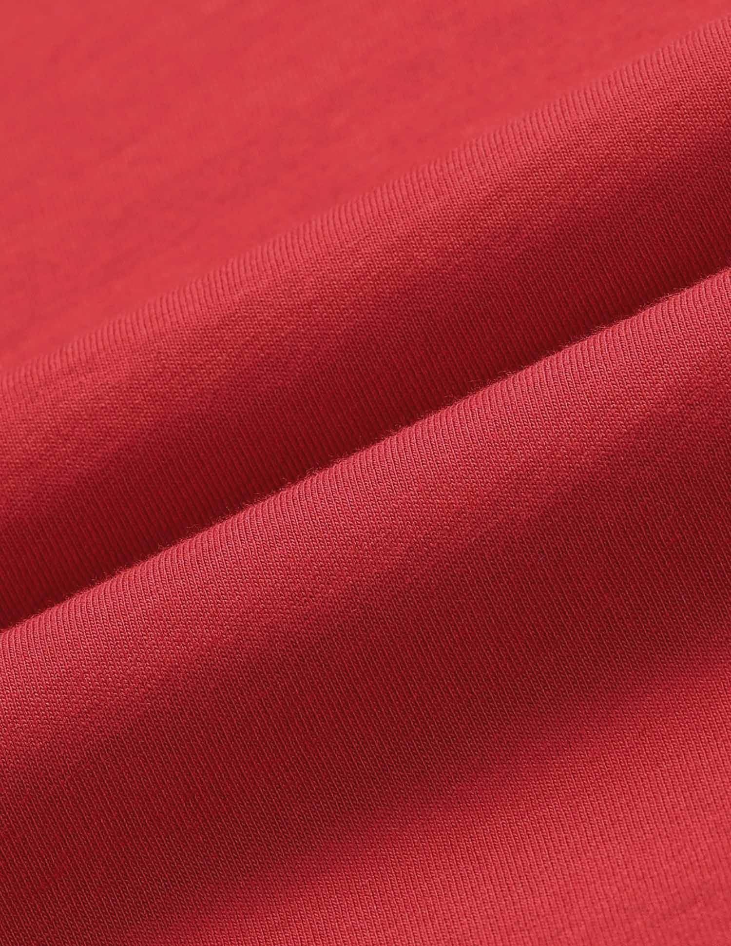 Solid Pure Cotton T-Shirt Maroon - U.S. POLO ASSN. | Large