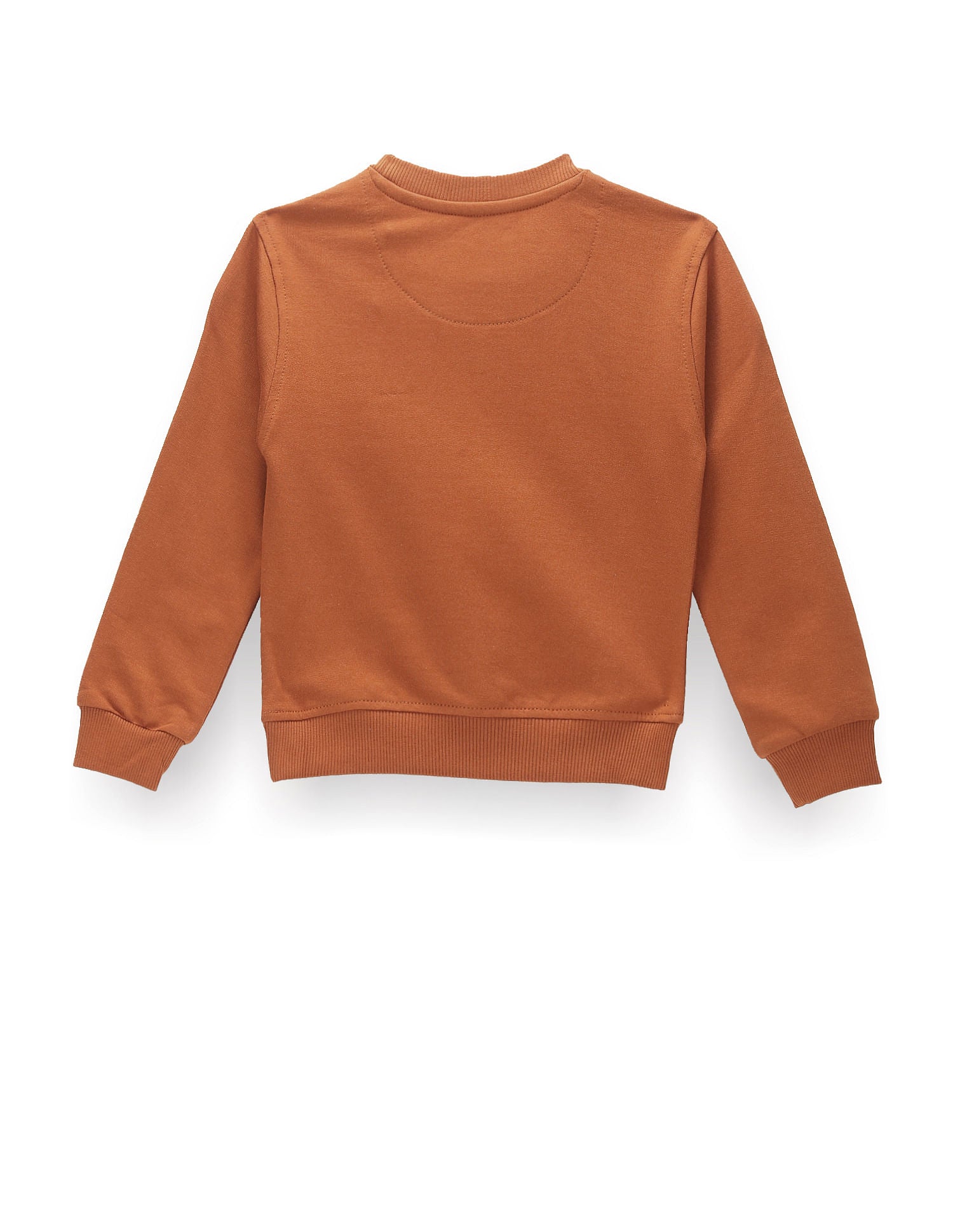 Boys Mascot Print Sweatshirt Brown - U.S. Polo Assn. India | Large