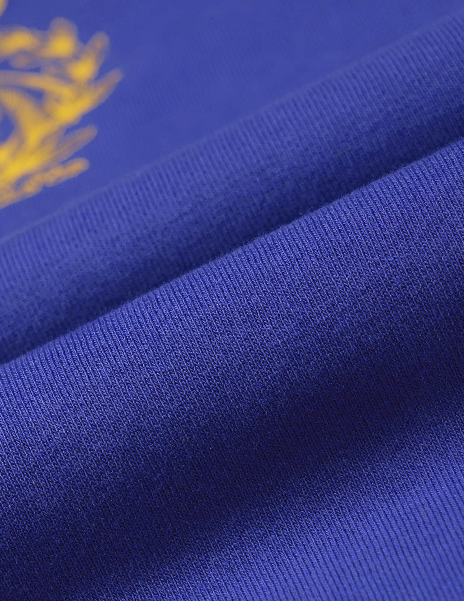 Regular Fit Brand Printed Sweatshirt Blue - U.S. POLO ASSN. | Large