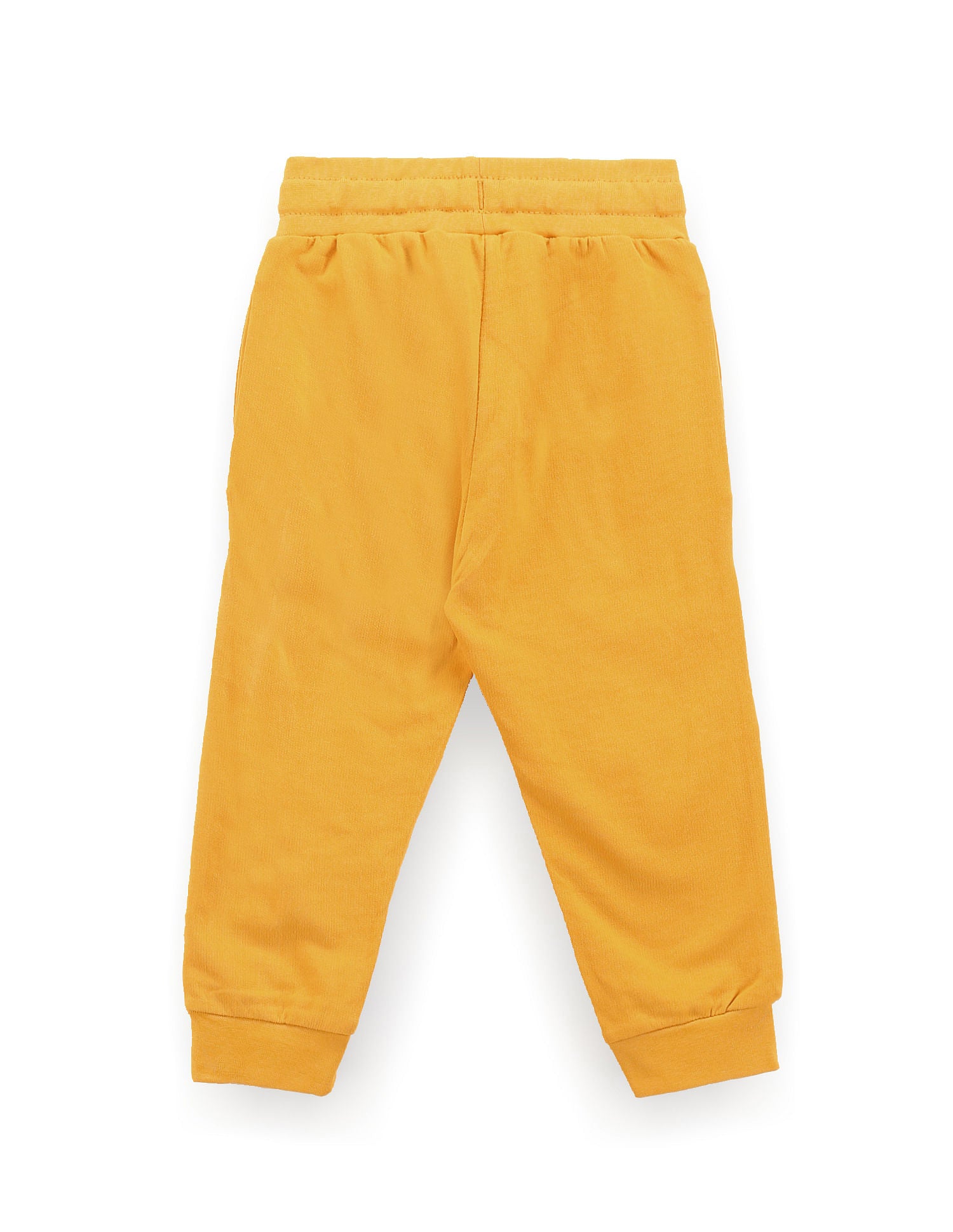 Boys Solid Logo Joggers Mustard - U.S. Polo Assn. India | Large