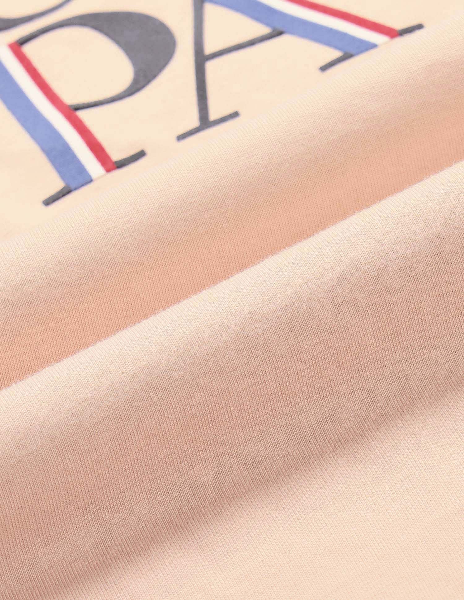 Regular Fit Brand Printed T-shirt Light Pink - U.S. POLO ASSN. | Large