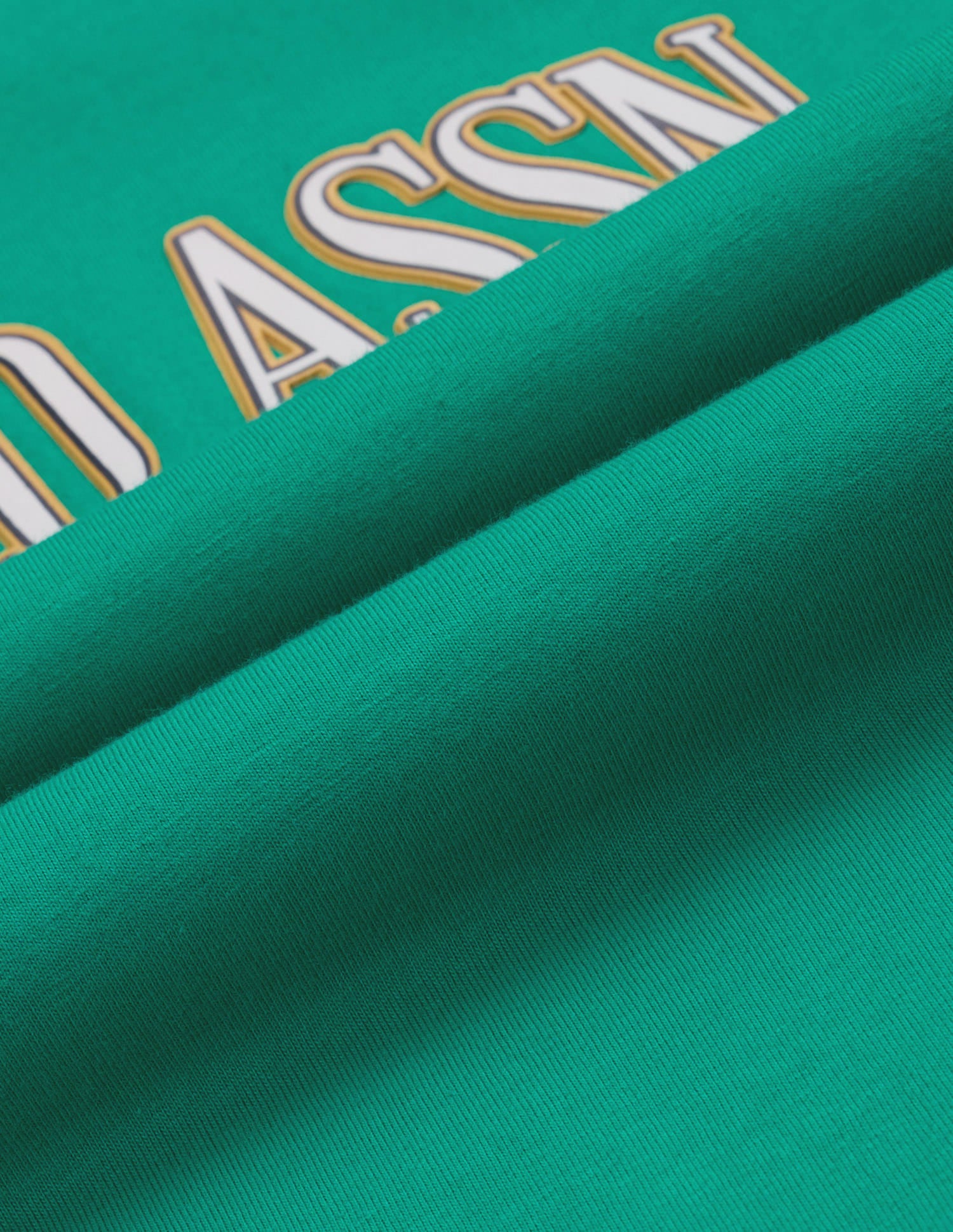 Brand Printed Regular Fit T-Shirt Green - U.S. Polo Assn. India | Large