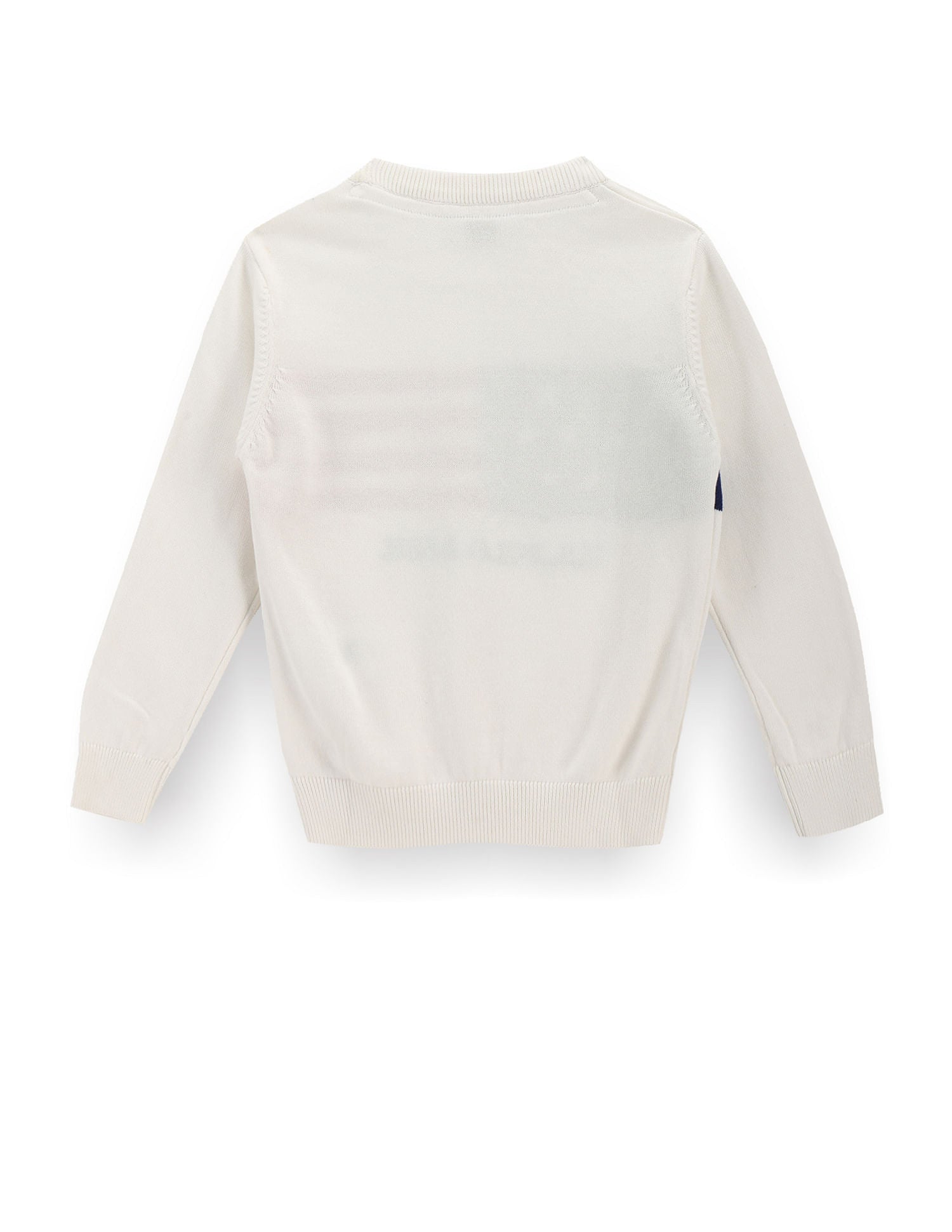 Boys Flag Pattern Sweater White - U.S. POLO ASSN. | Large