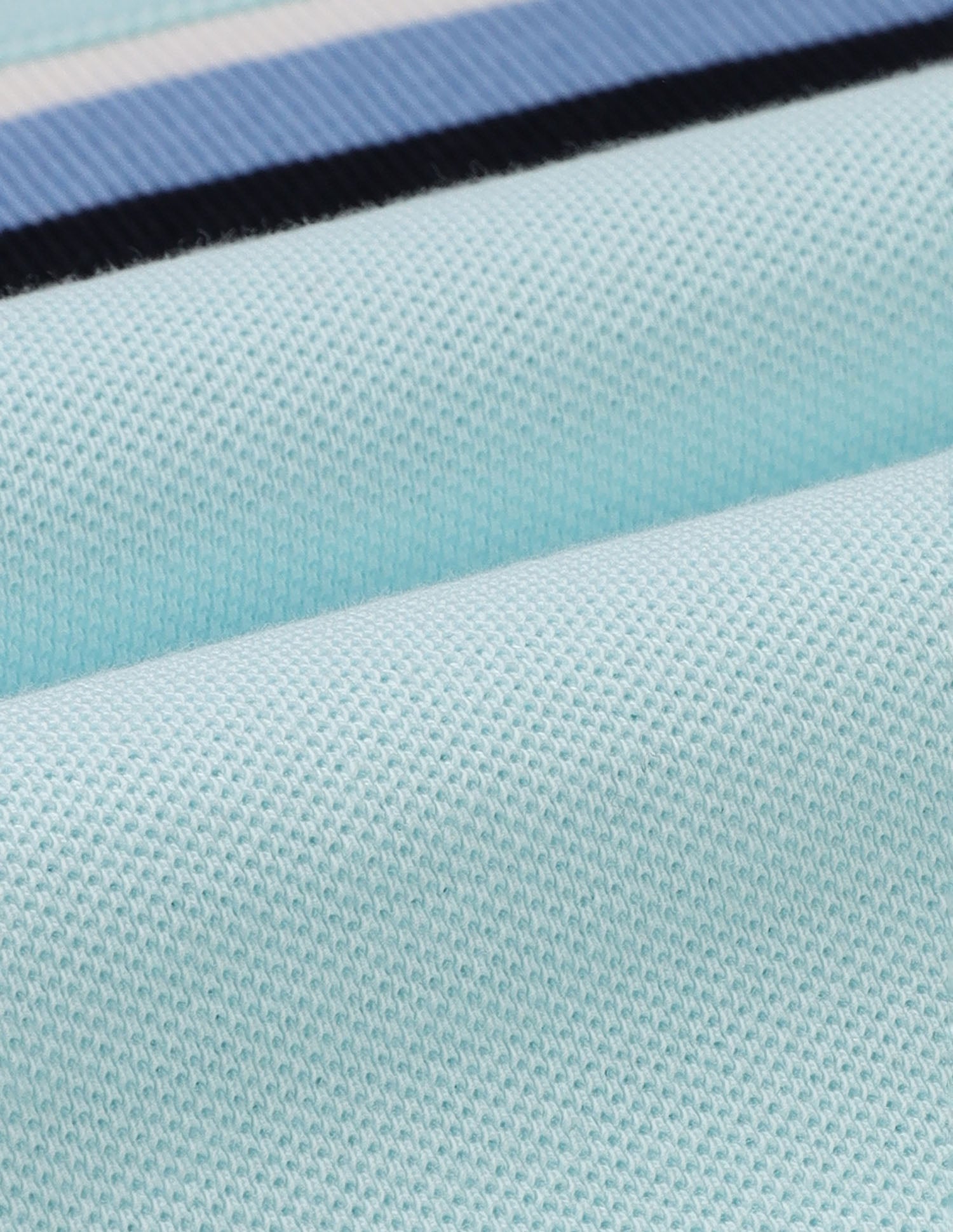 Brand Embroidered Regular Fit Polo Shirt Light Blue - U.S. POLO ASSN. | Large