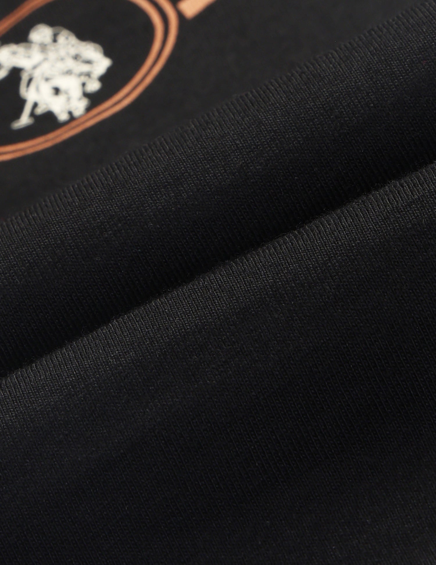 Regular Fit Brand Printed T-Shirt Black - U.S. Polo Assn. India | Large