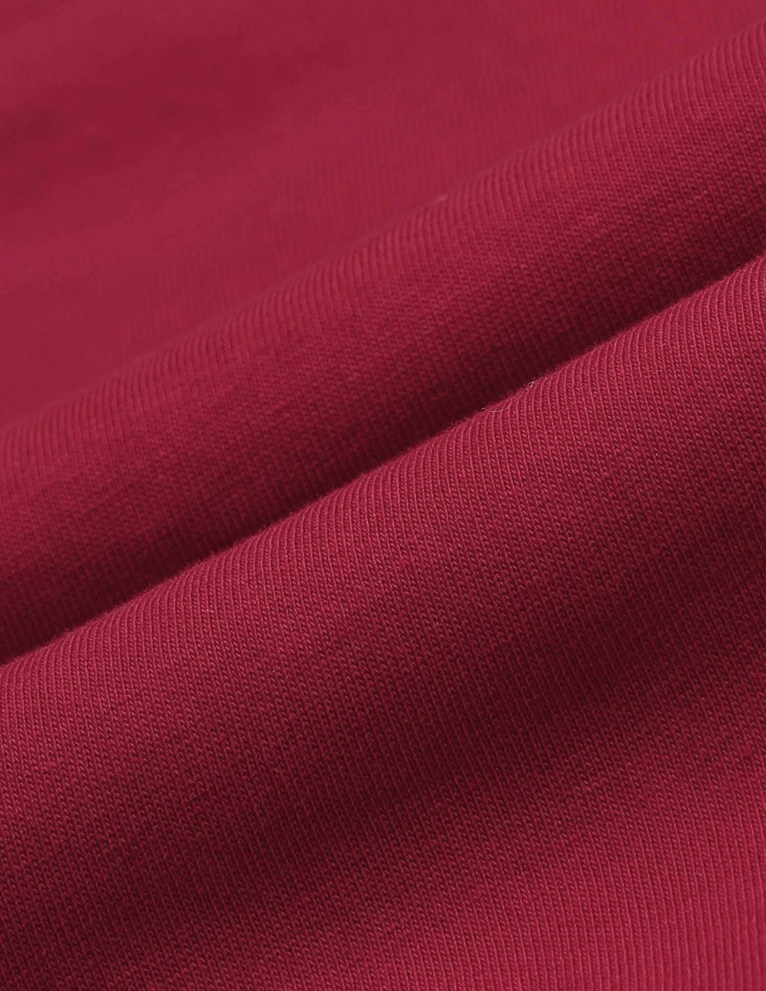 Boys Pure Cotton Graphic Brand Printed T Shirt Red - U.S. POLO ASSN. | Large