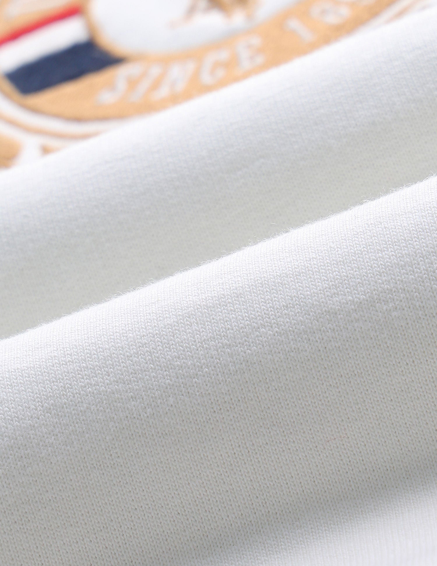 Boys Brand Print Sweatshirt White - U.S. POLO ASSN. | Large