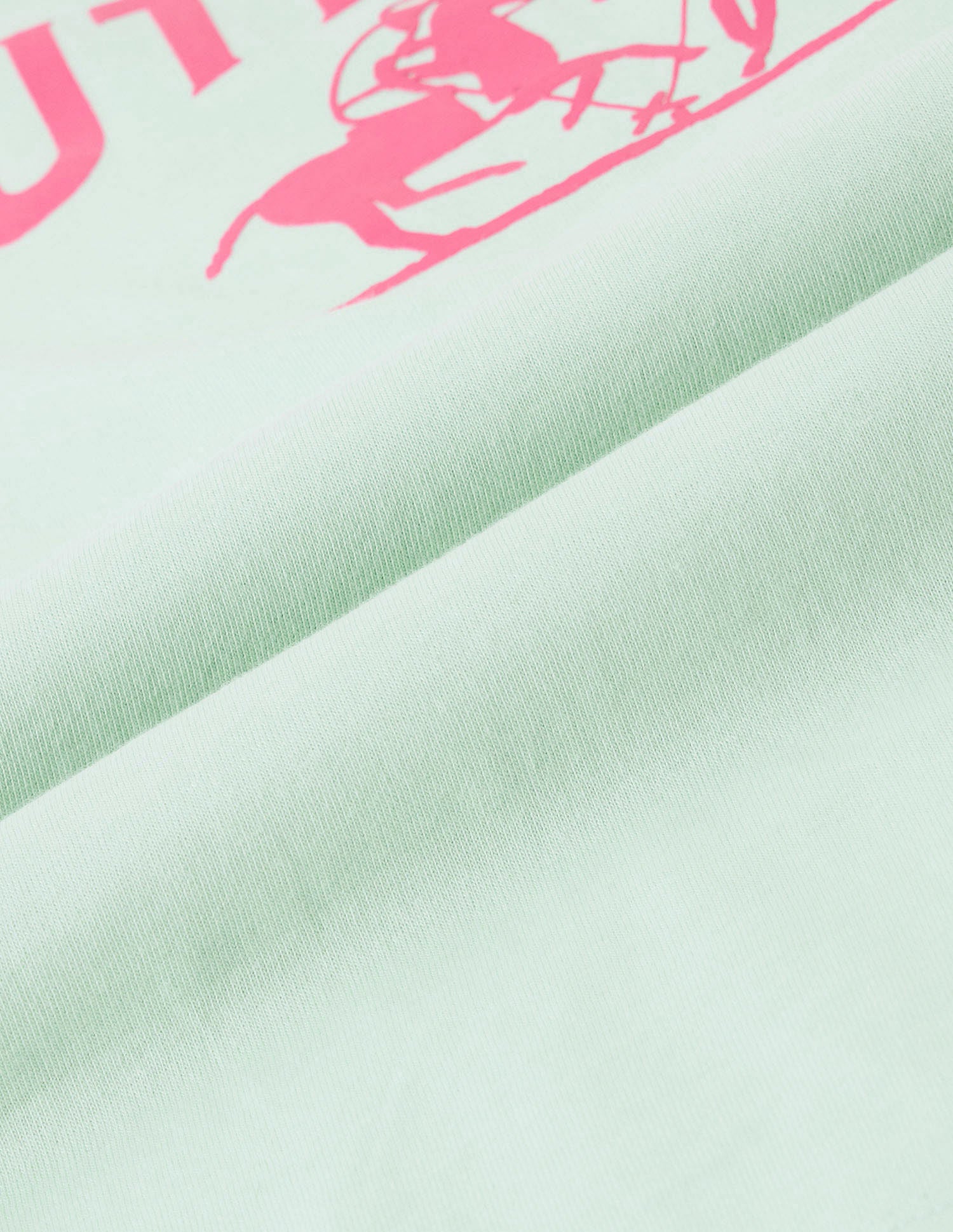 Boyfriend Fit Brand Printed T-Shirt Mint - U.S. POLO ASSN. | Large