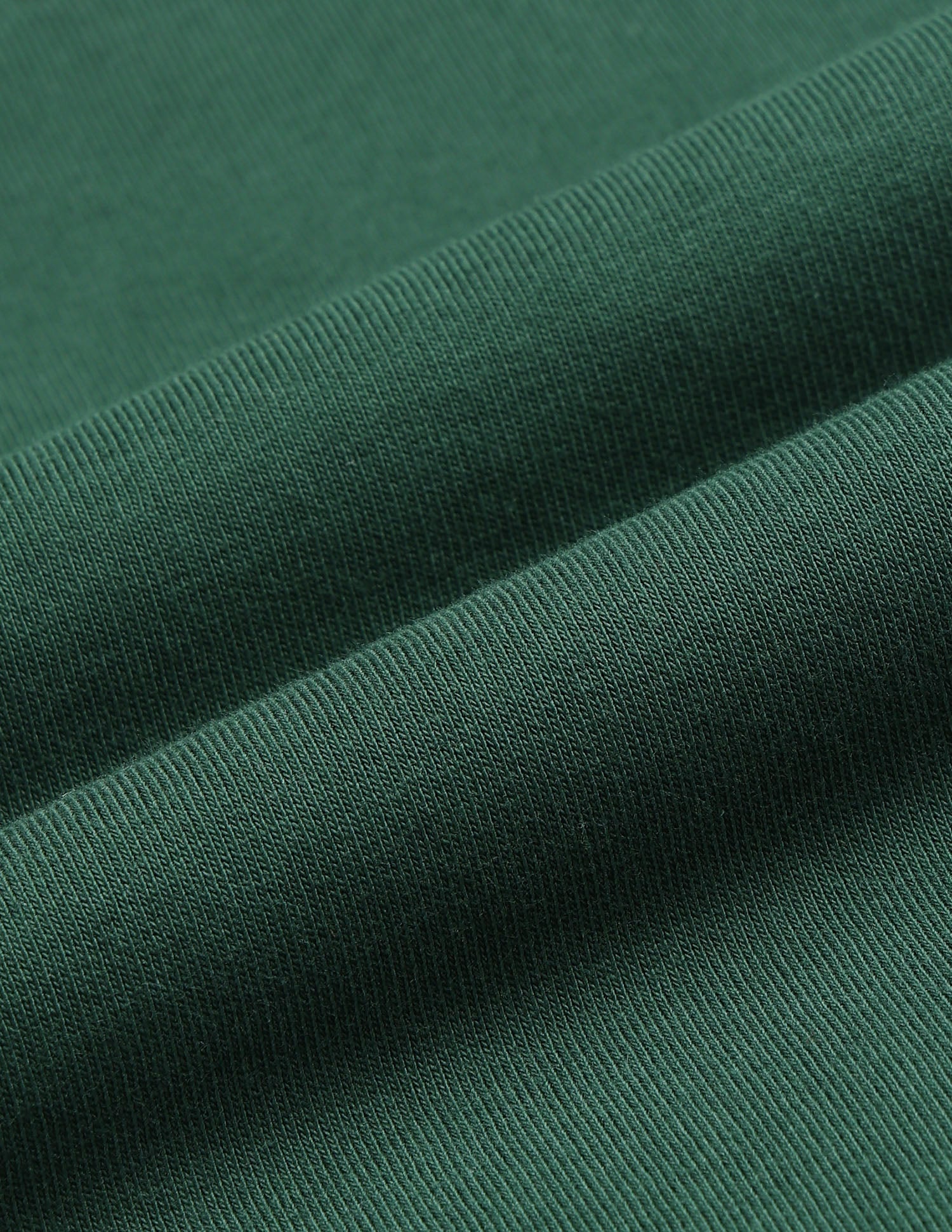 Brand Embroidered Zipper Sweatshirt Dark Green - U.S. Polo Assn. India | Large