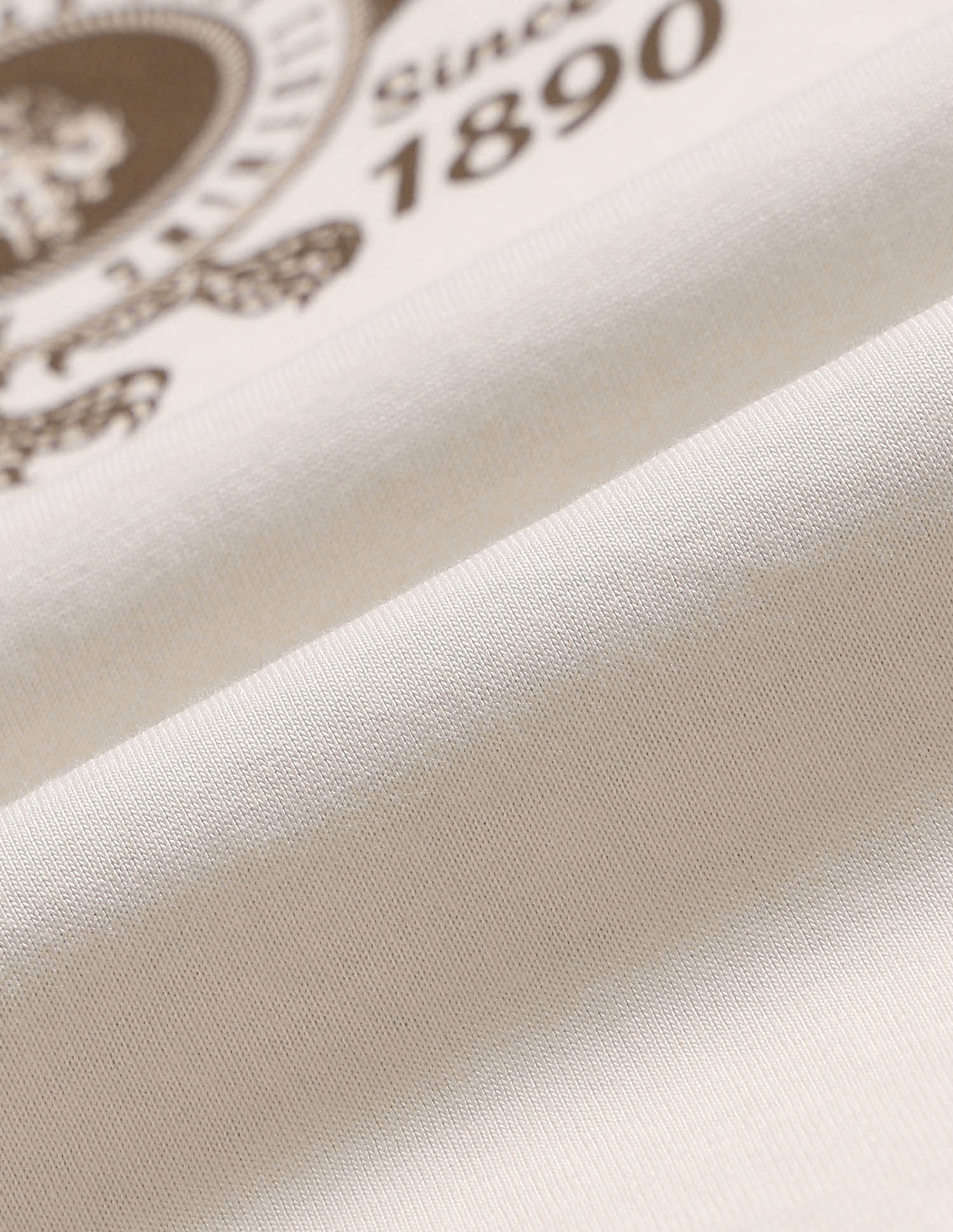 Graphic Brand Printed Pure Cotton T-Shirt Ivory - U.S. POLO ASSN. | Large