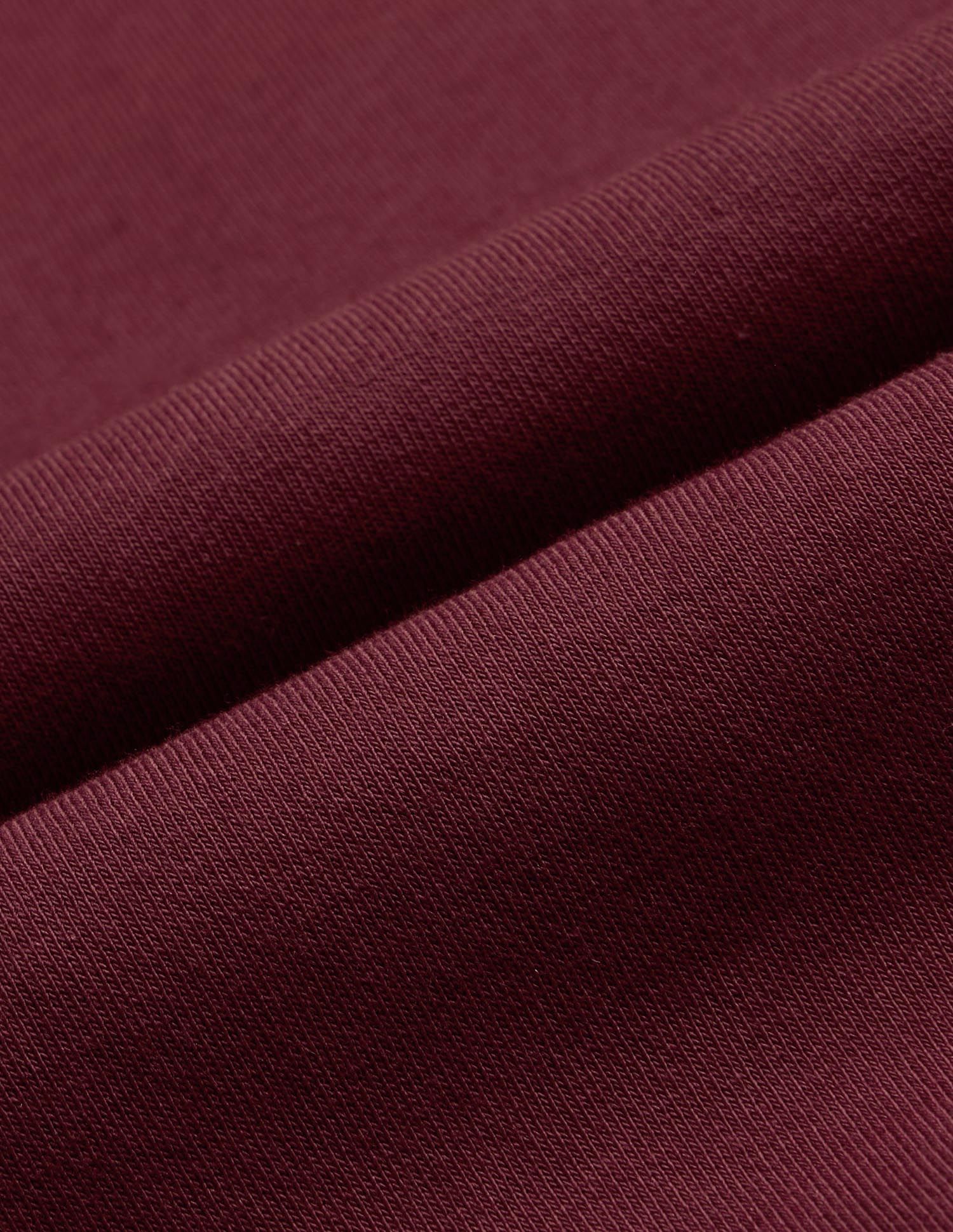 Brand Applique Regular Fit Sweatshirt Purple - U.S. POLO ASSN. | Large