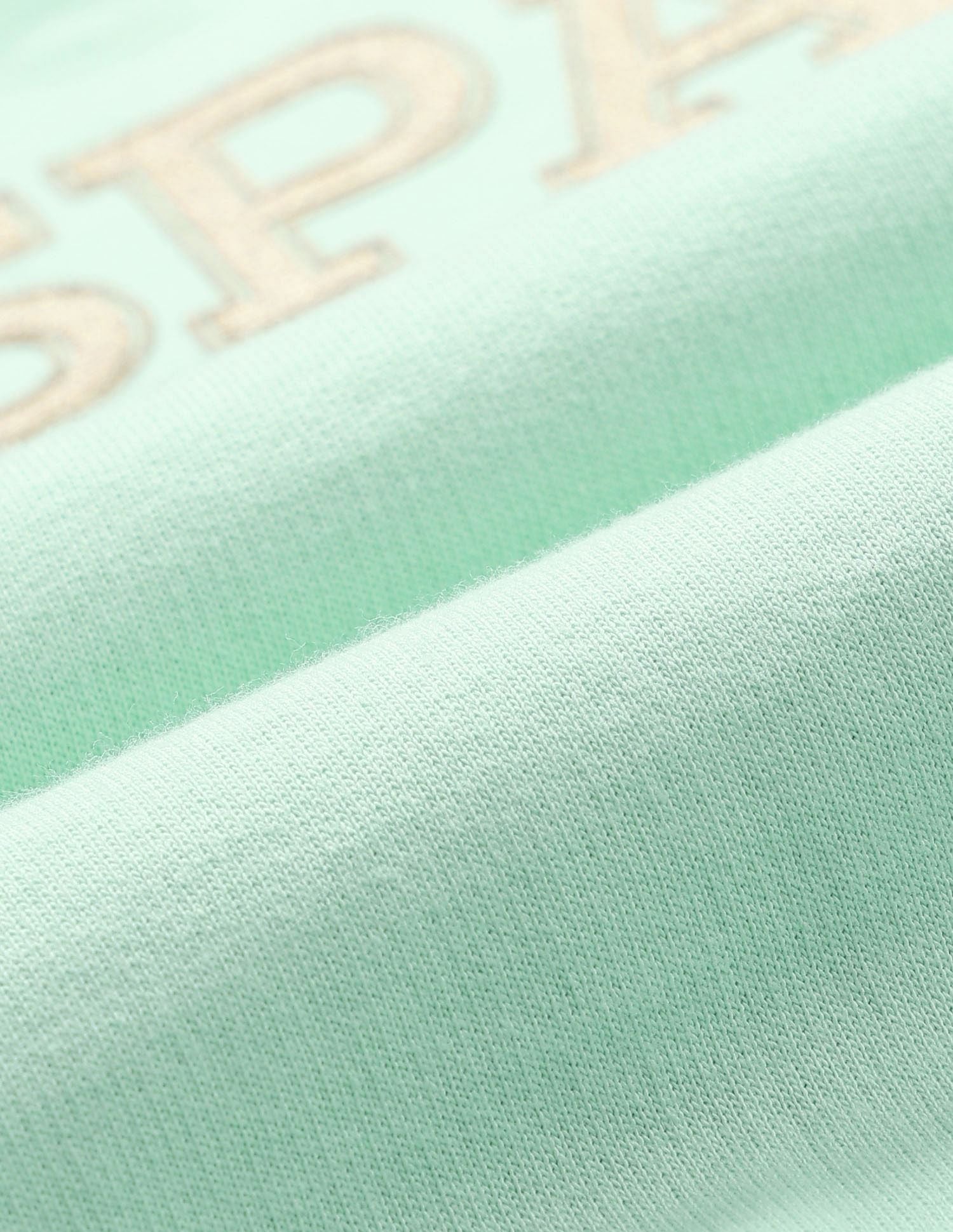 Girls Brand Printed Blousan T-Shirt Mint - U.S. POLO ASSN. | Large