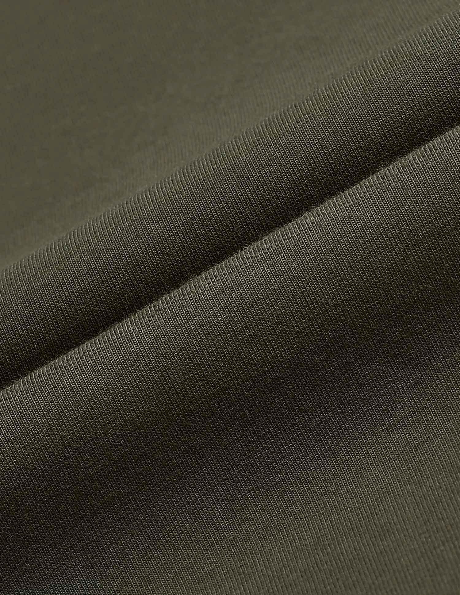 Solid Regular Fit Sweatshirt Olive - U.S. POLO ASSN. | Large