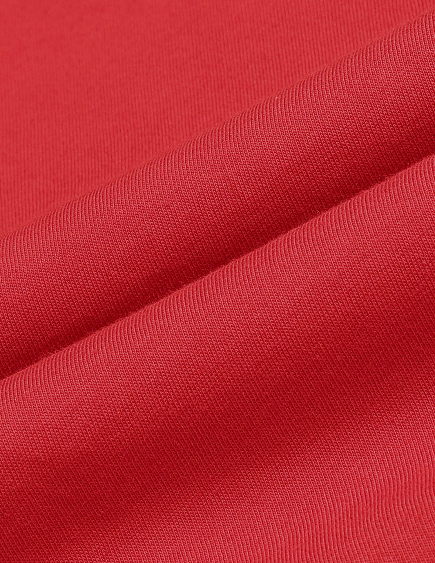 Regular Fit Brand Printed T-Shirt Red - U.S. Polo Assn. India | Large