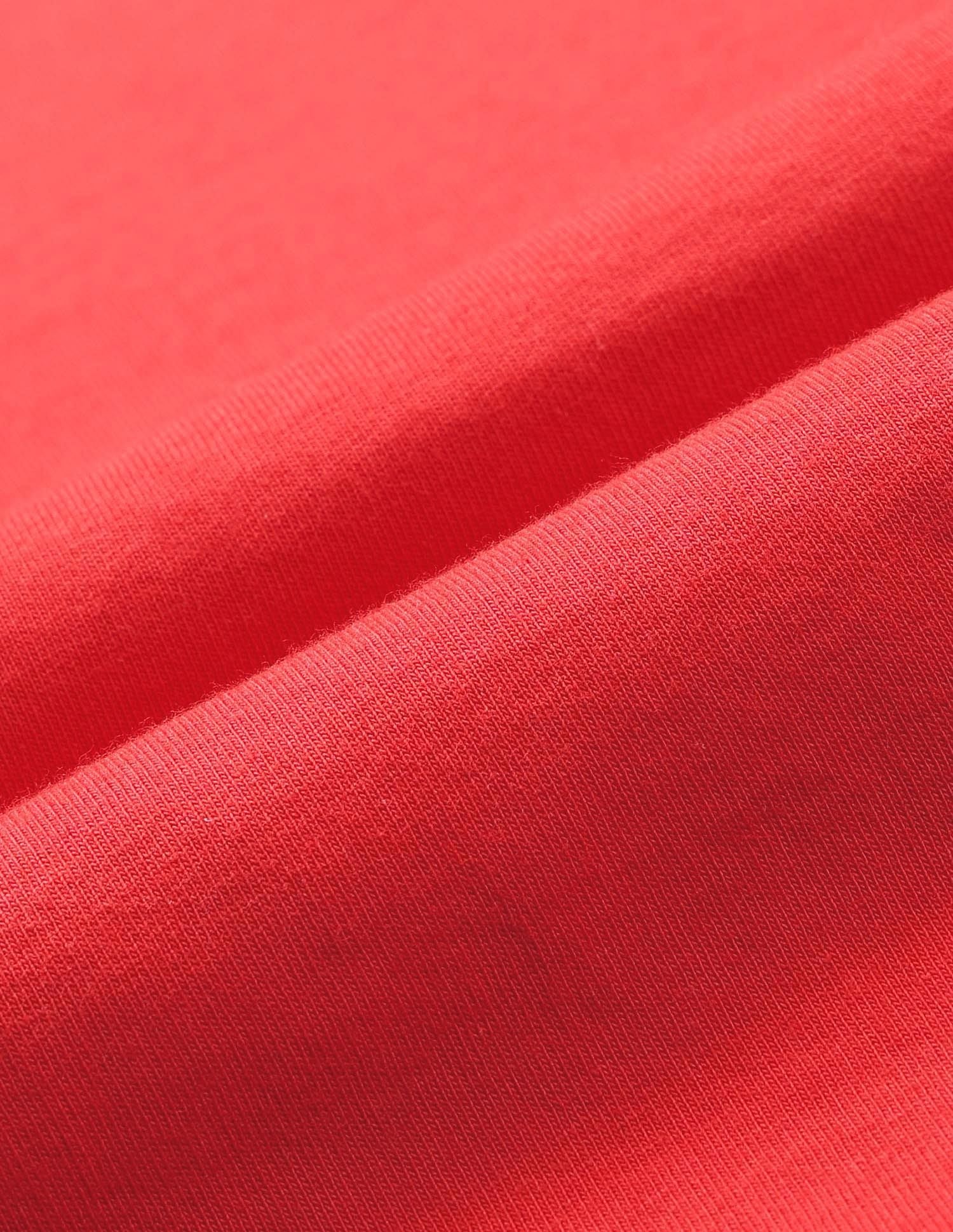 Girls Brand Printed Regular Fit T-Shirt Red - U.S. POLO ASSN. | Large