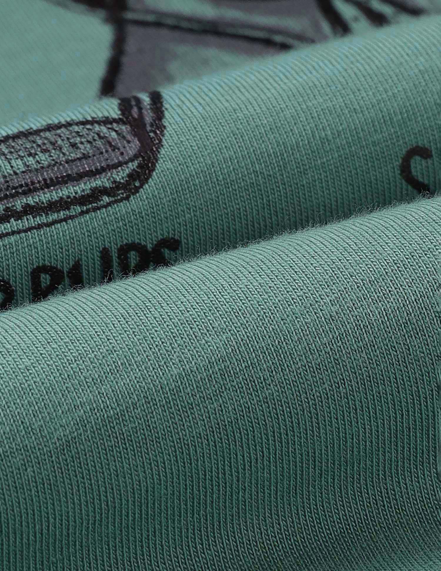 Graphic Brand Printed Slim Fit T-Shirt Light Green - U.S. POLO ASSN. | Large