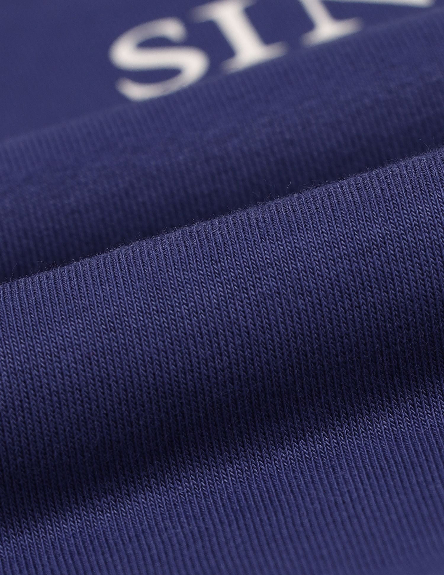 Regular Fit Embroidered Sweatshirt Blue - U.S. POLO ASSN. | Large