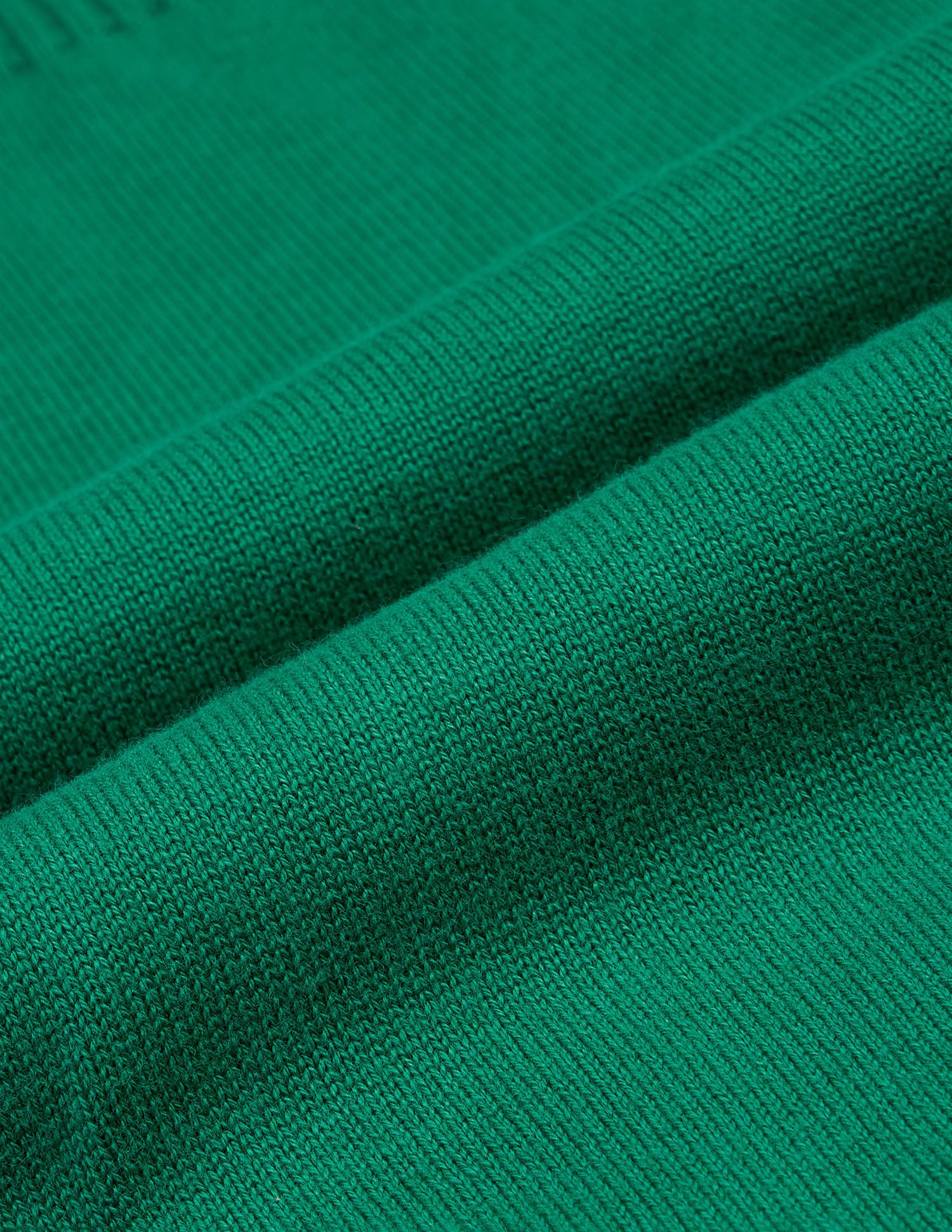 Solid Regular Fit Sweater Green - U.S. Polo Assn. India | Large