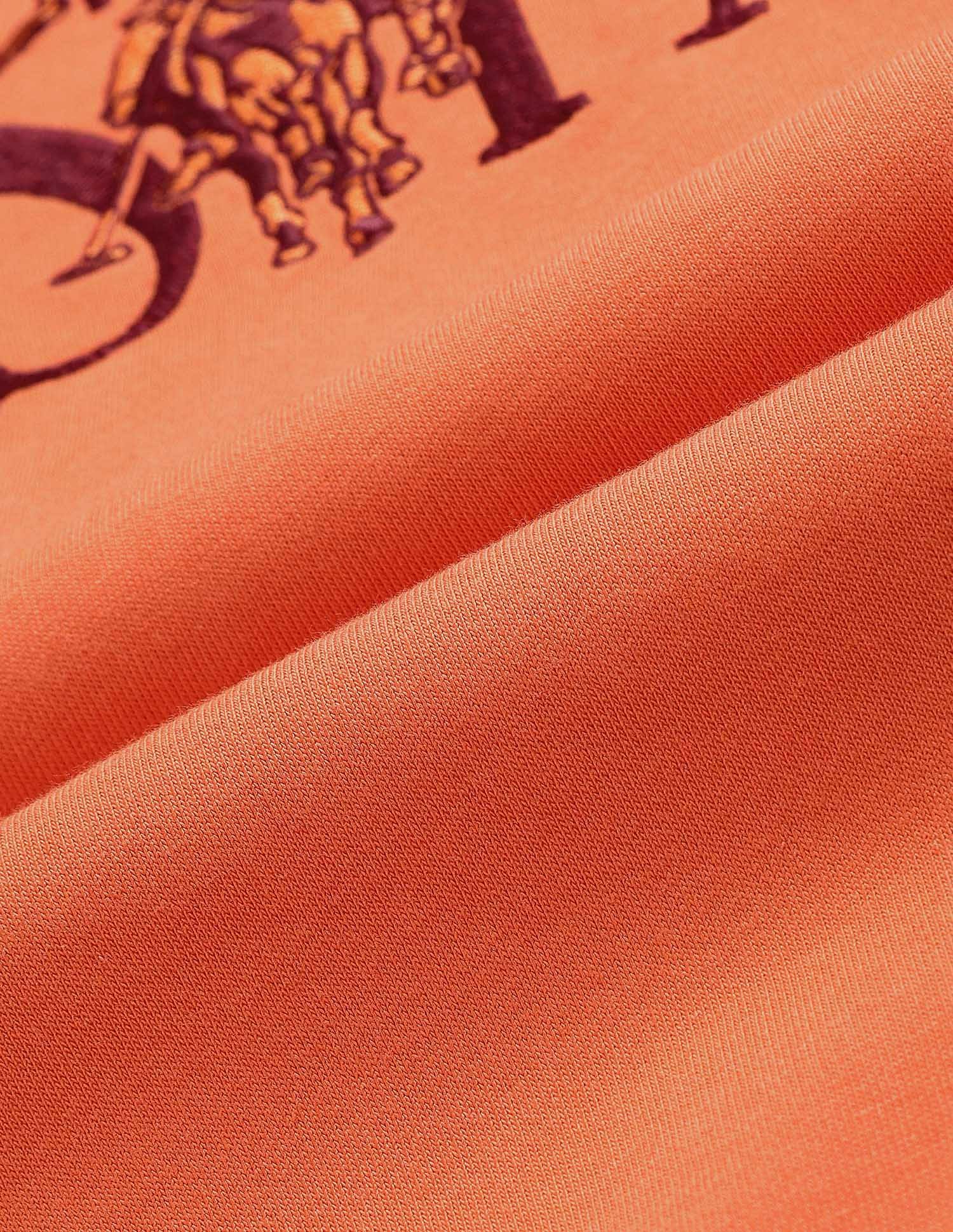 Brand Embroidered Drop Shoulder Sweatshirt Rust - U.S. POLO ASSN. | Large