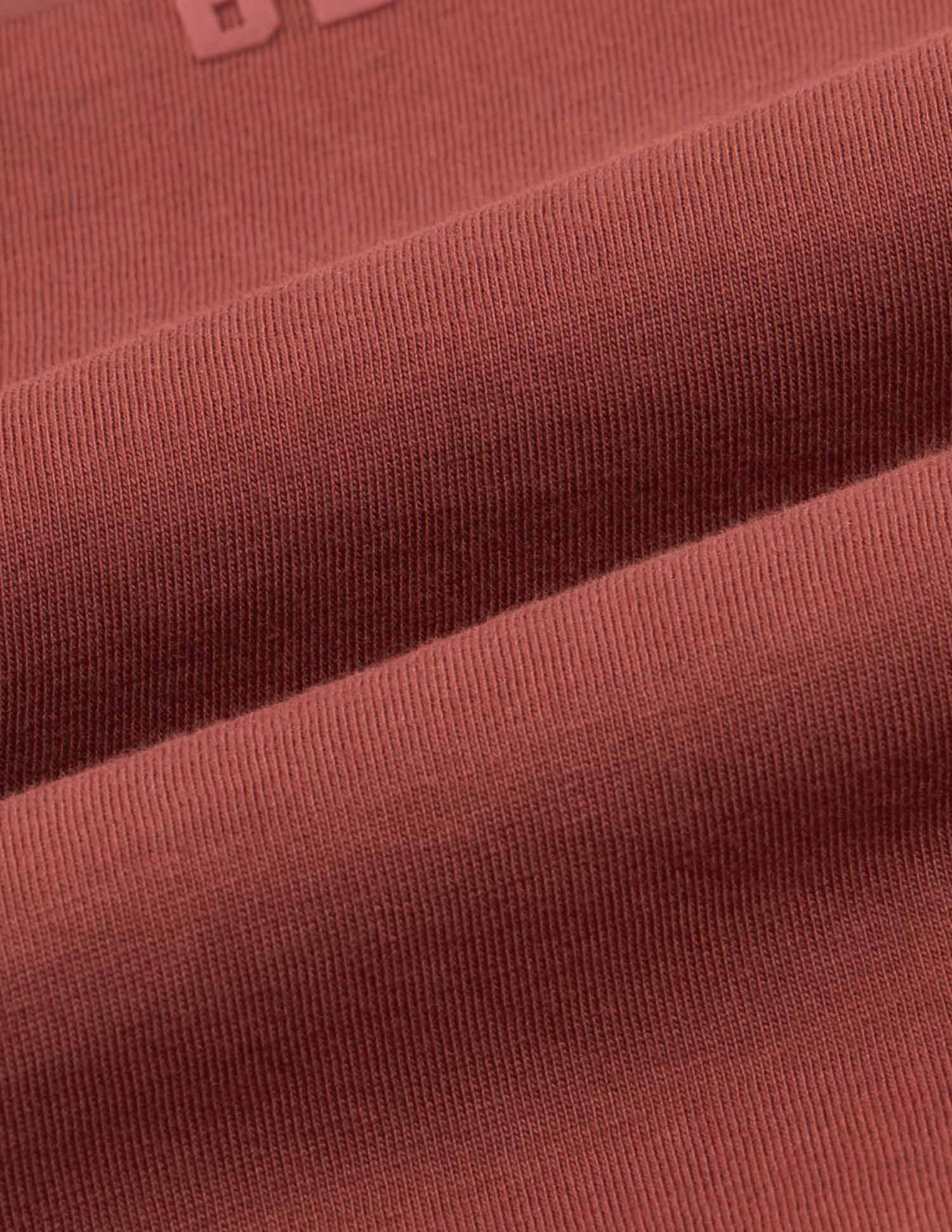 Brand Printed Muscle Fit T-Shirt Rust - U.S. Polo Assn. India | Large