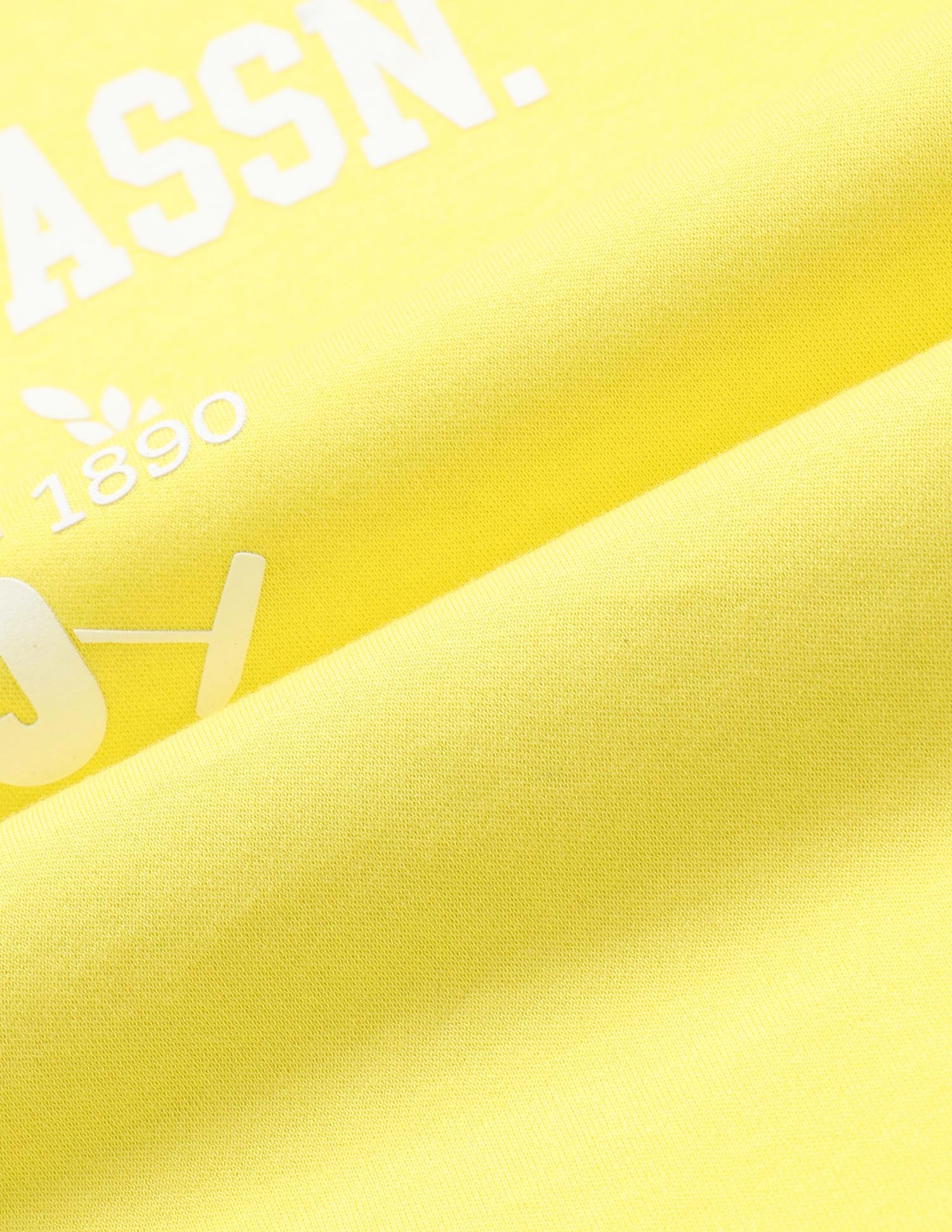 Boys Pure Cotton Regular Fit T-Shirt Light Yellow - U.S. POLO ASSN. | Large