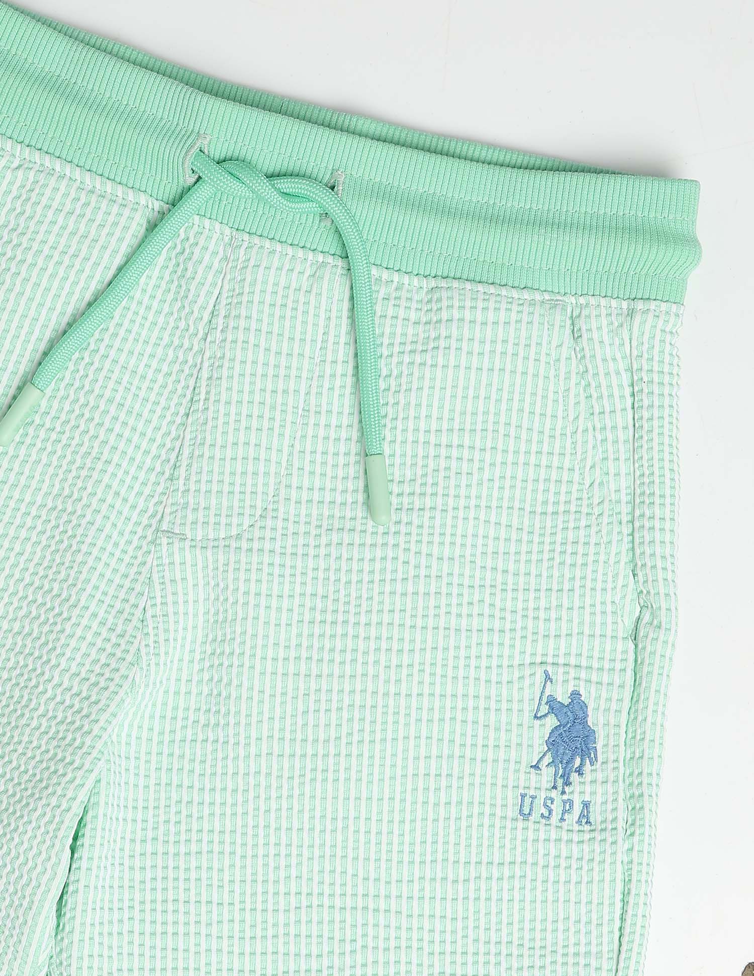 Textured Regular Fit Shorts Light Green - U.S. Polo Assn. India | Large