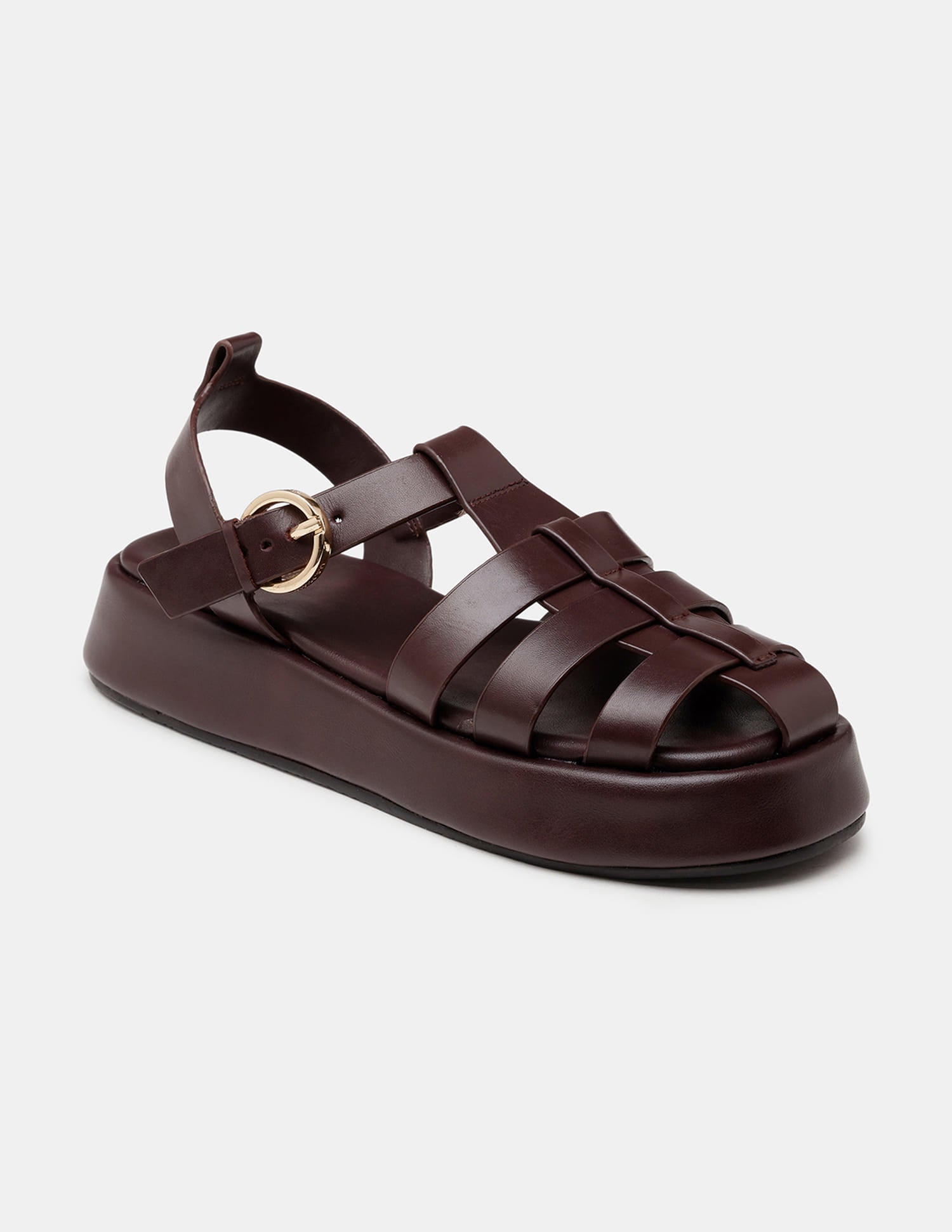 Women Multi Strap Nara Buckle Sandals Dark Brown - U.S. Polo Assn. India | Large