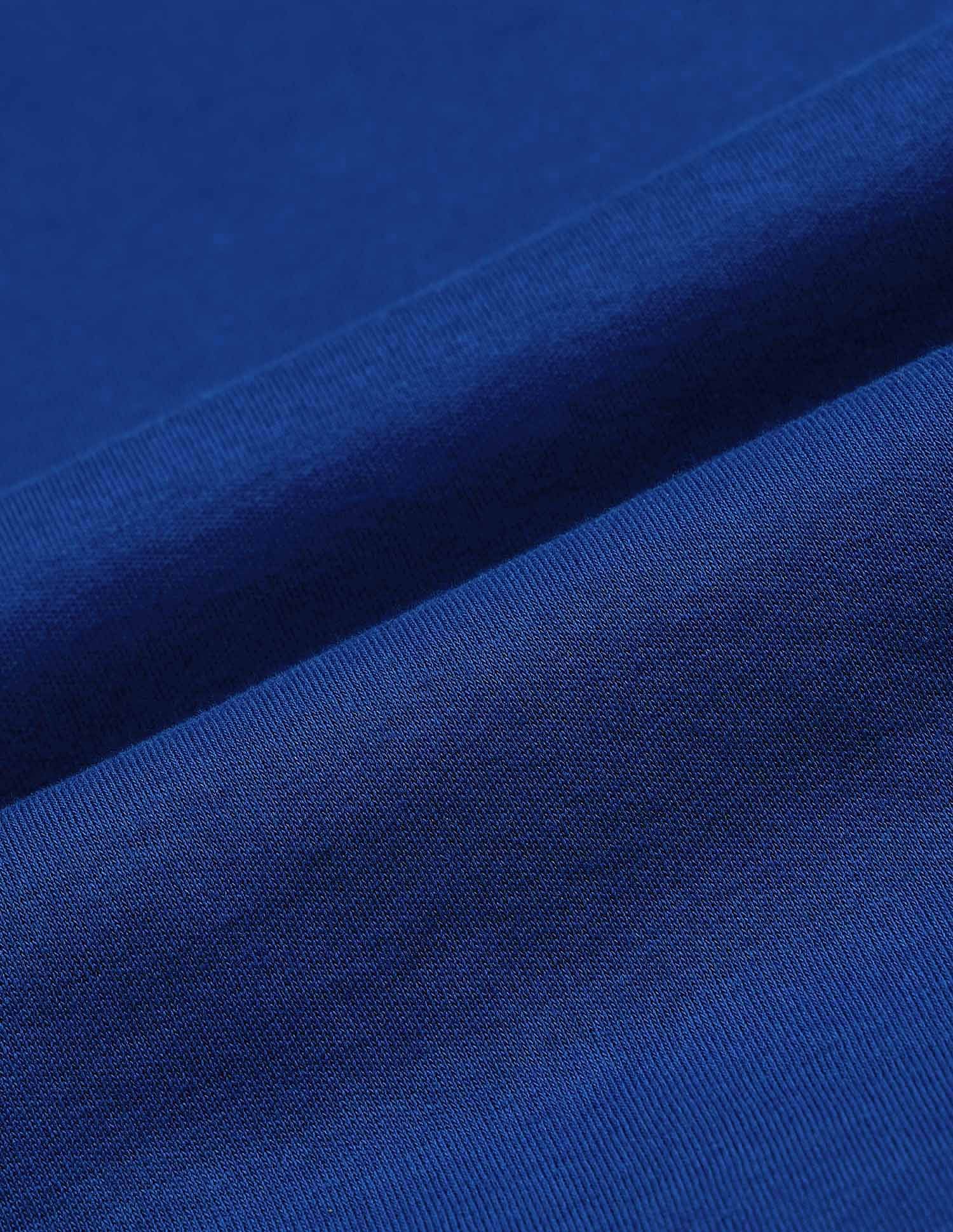 Tipped Collar Regular Fit Polo Shirt Royal Blue - U.S. POLO ASSN. | Large