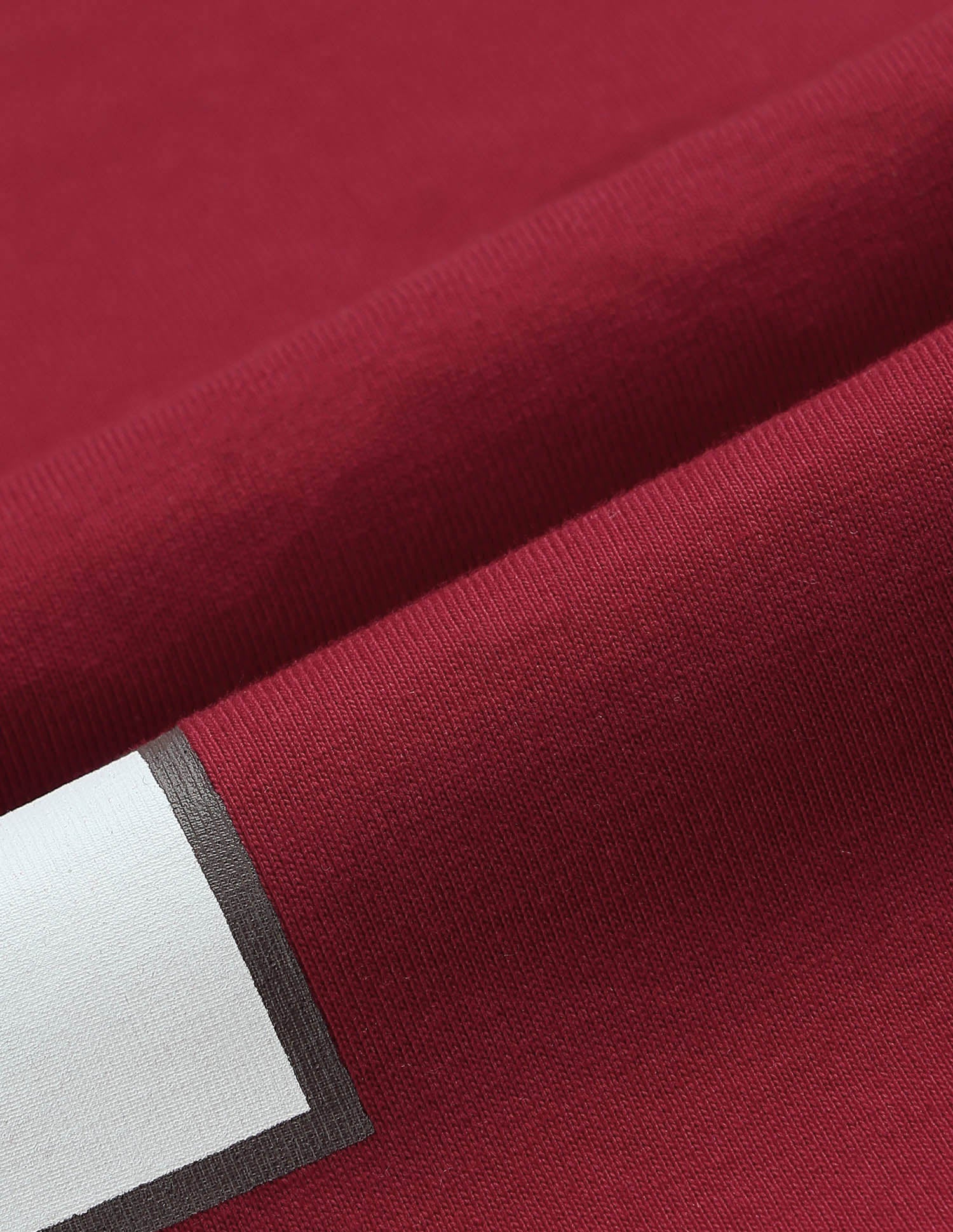 Boys Brand Appliqued Mini Me T-Shirt Red - U.S. POLO ASSN. | Large