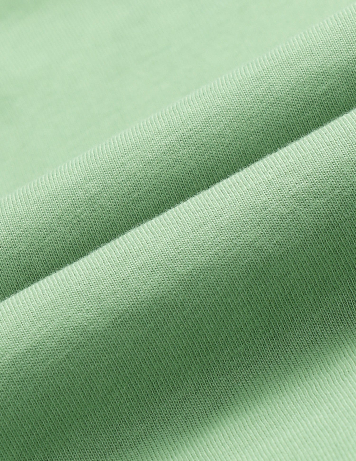 Solid Slim Fit Polo Shirt Light Green - U.S. Polo Assn. India | Large