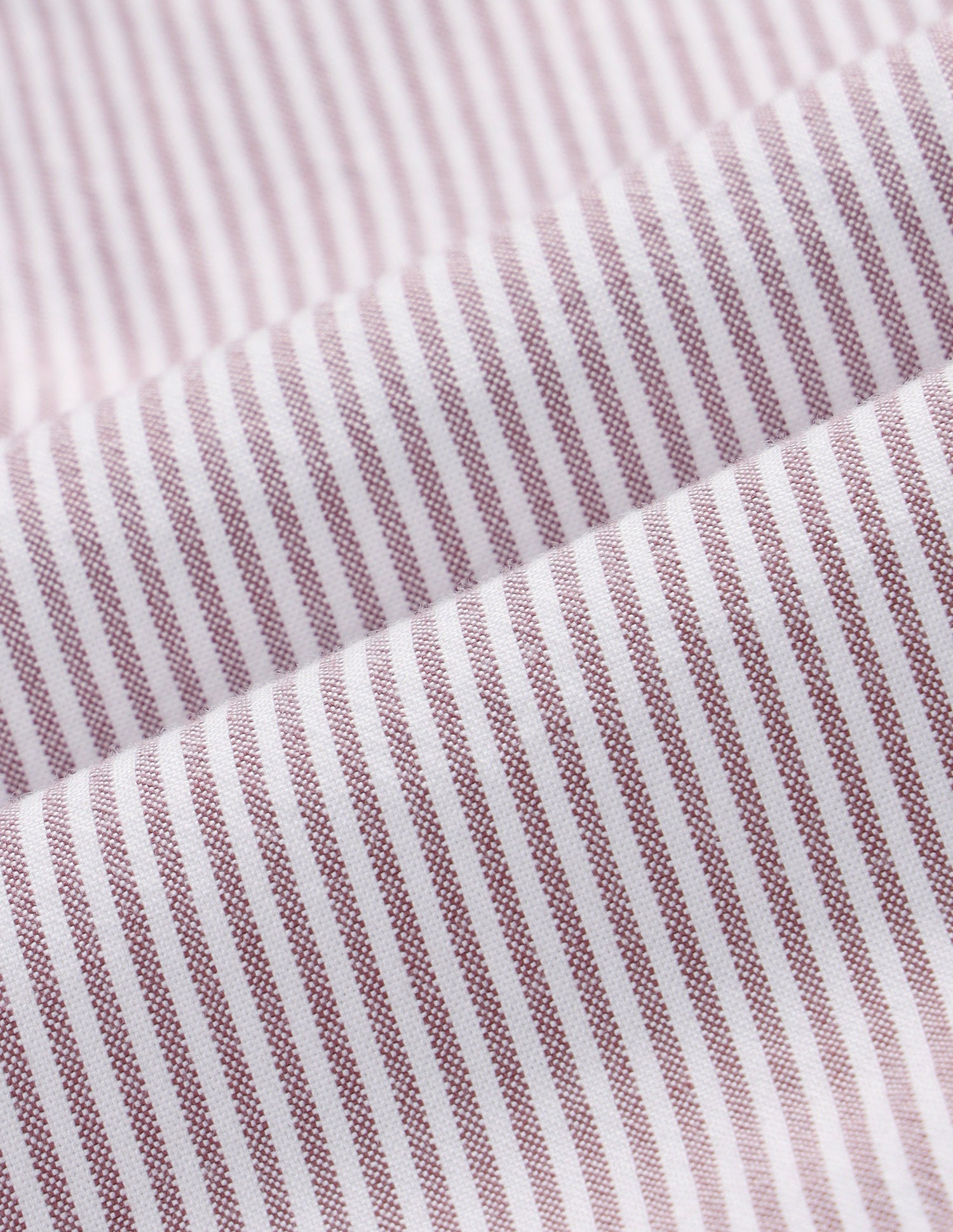 Vertical Striped Oxford Shirt Pink - U.S. Polo Assn. India | Large
