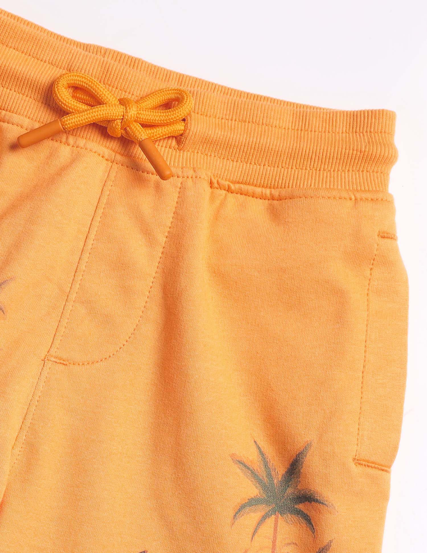 Boys Graphic Printed Shorts Orange - U.S. POLO ASSN. | Large