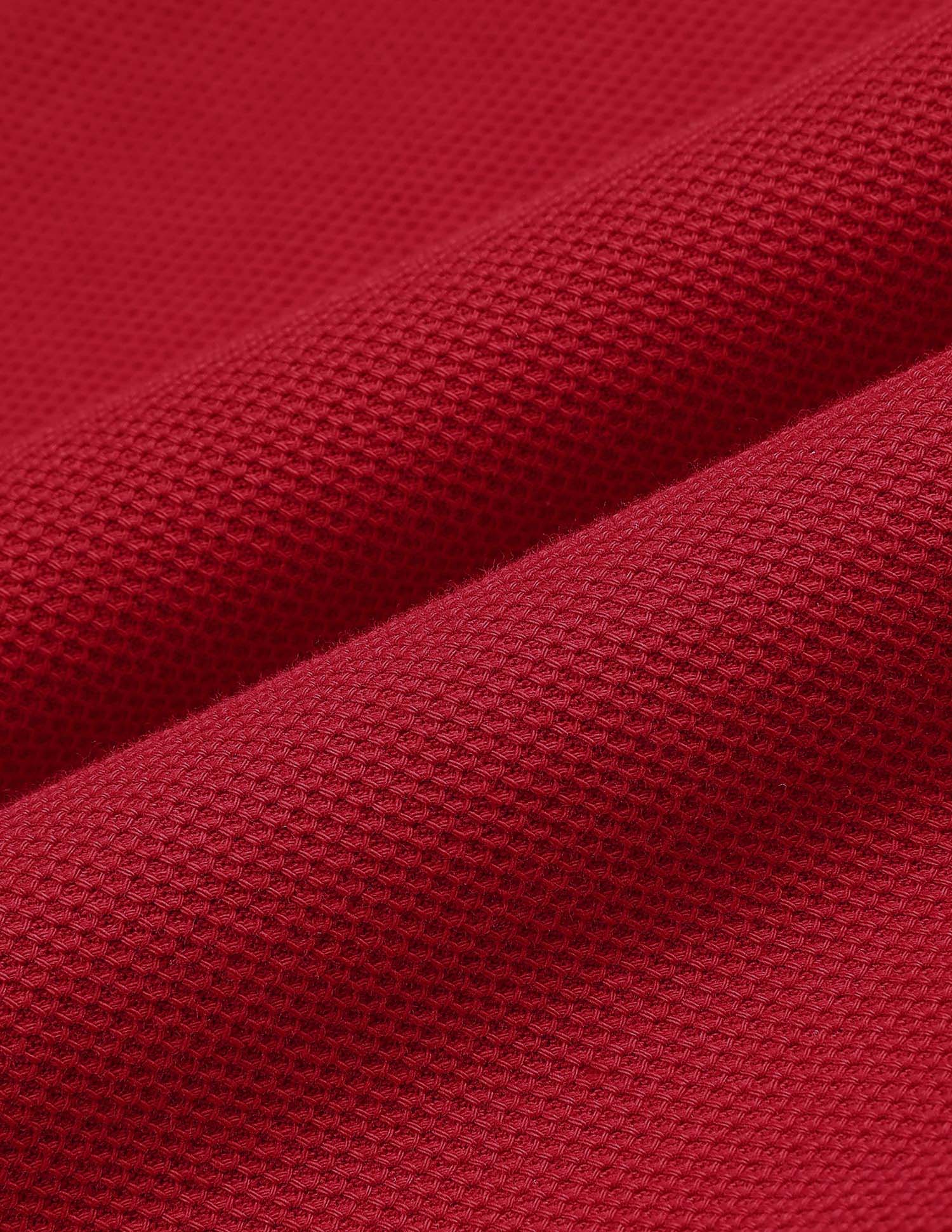 Boys Colour Block Regular Fit Polo Shirt Red - U.S. Polo Assn. India | Large