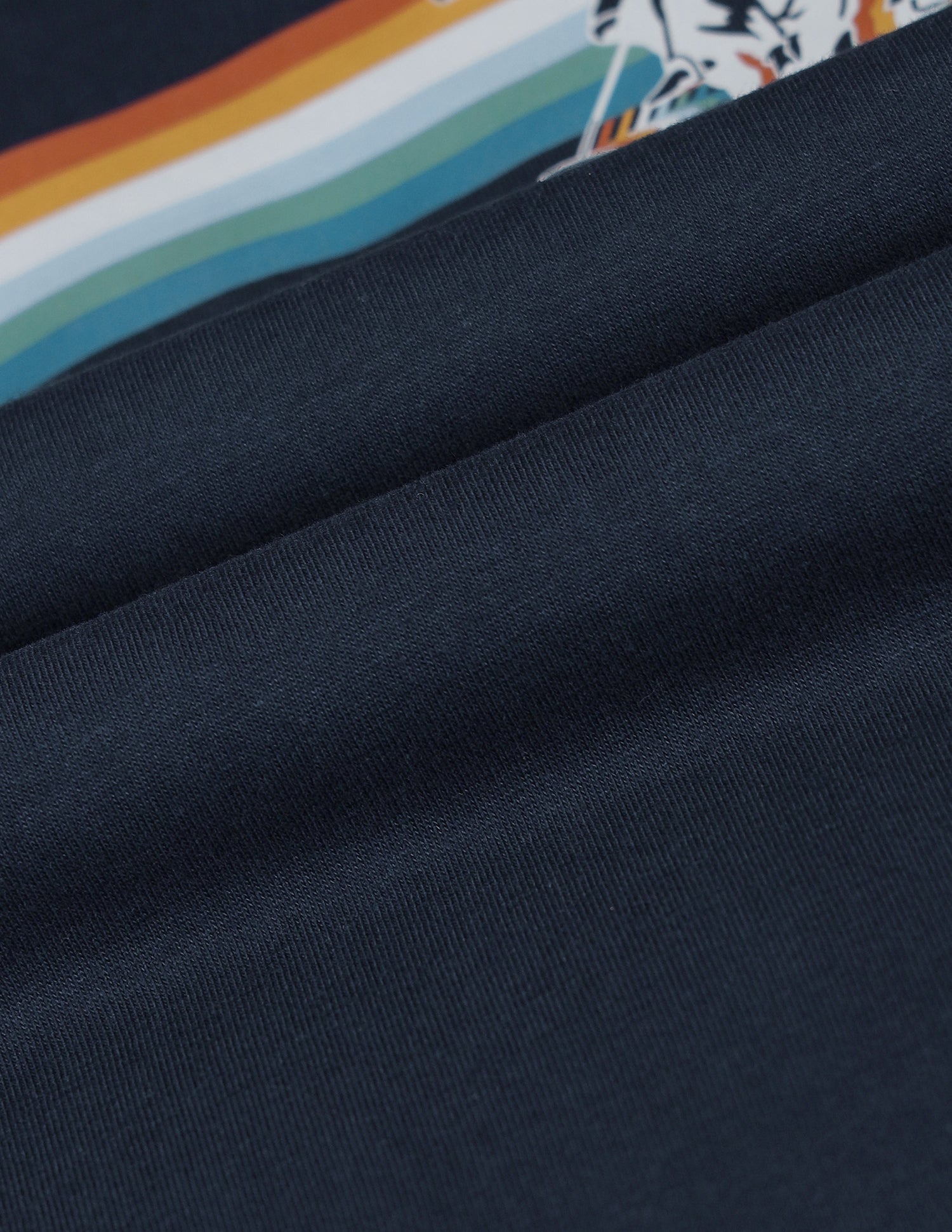 Boys Brand Printed T-Shirt Navy - U.S. POLO ASSN. | Large