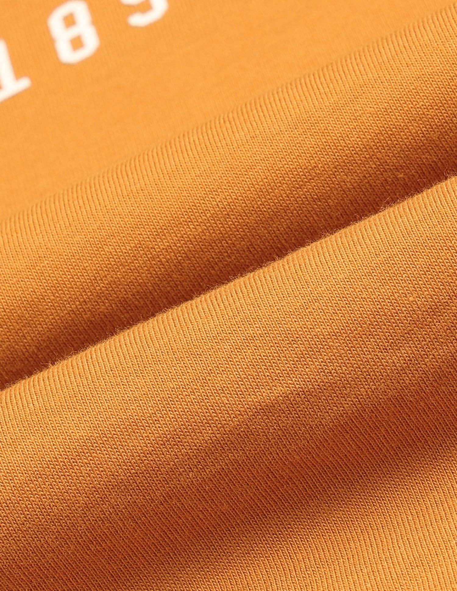 Regular Fit Brand Printed T-Shirt Orange - U.S. Polo Assn. India | Large