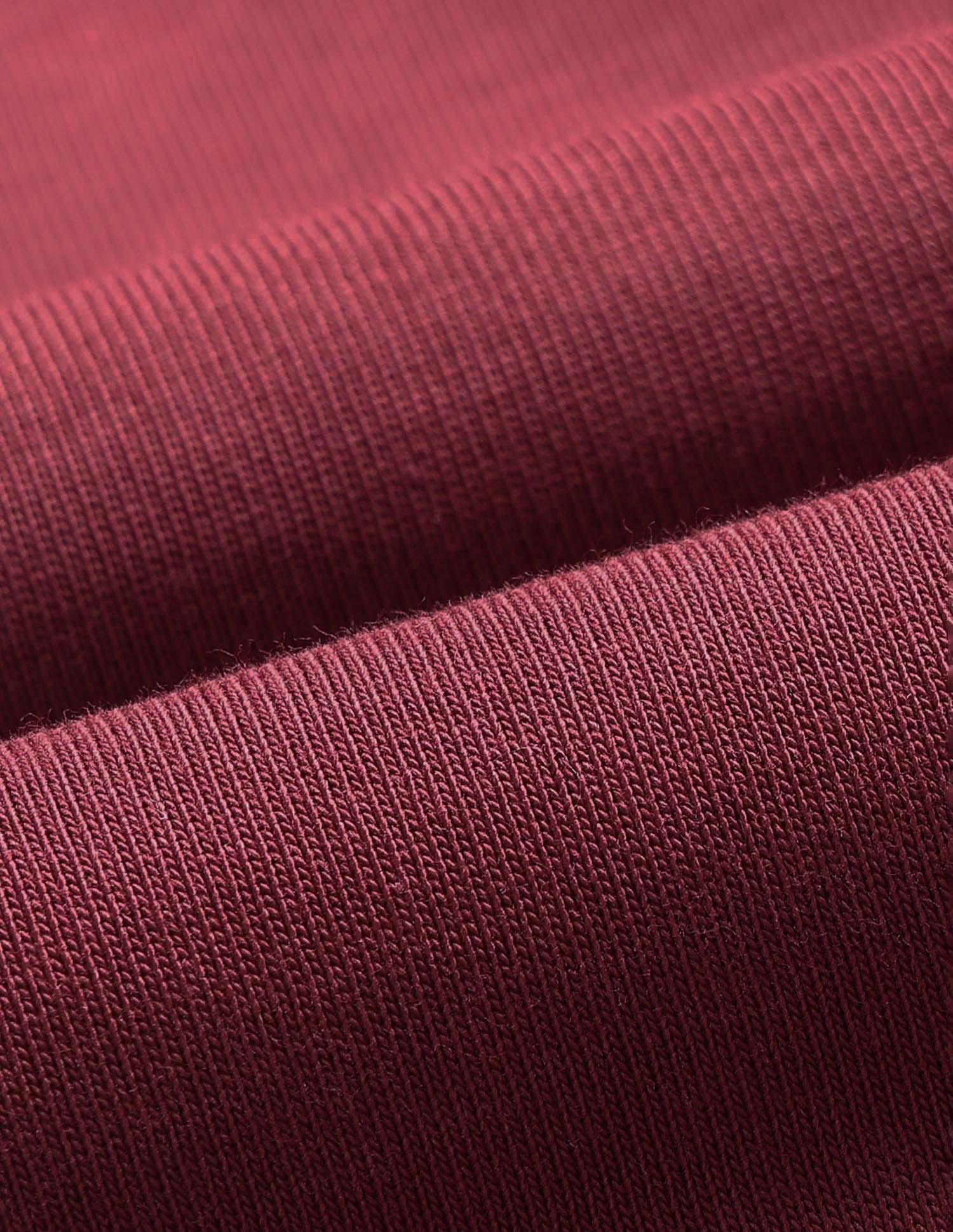 Solid Regular Fit Polo Shirt Maroon - U.S. Polo Assn. India | Large