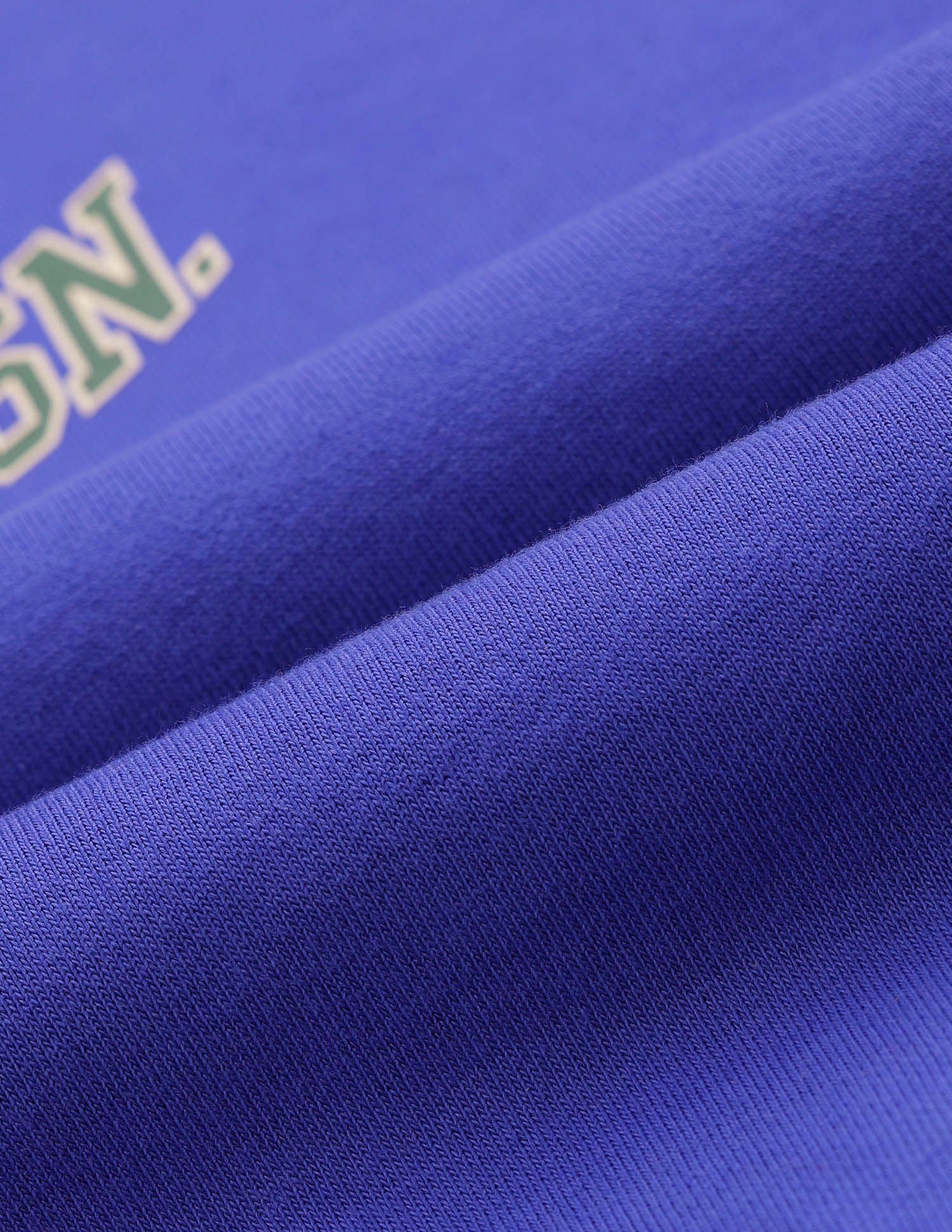 Brand Printed Regular Fit Sweatshirt Blue - U.S. POLO ASSN. | Large