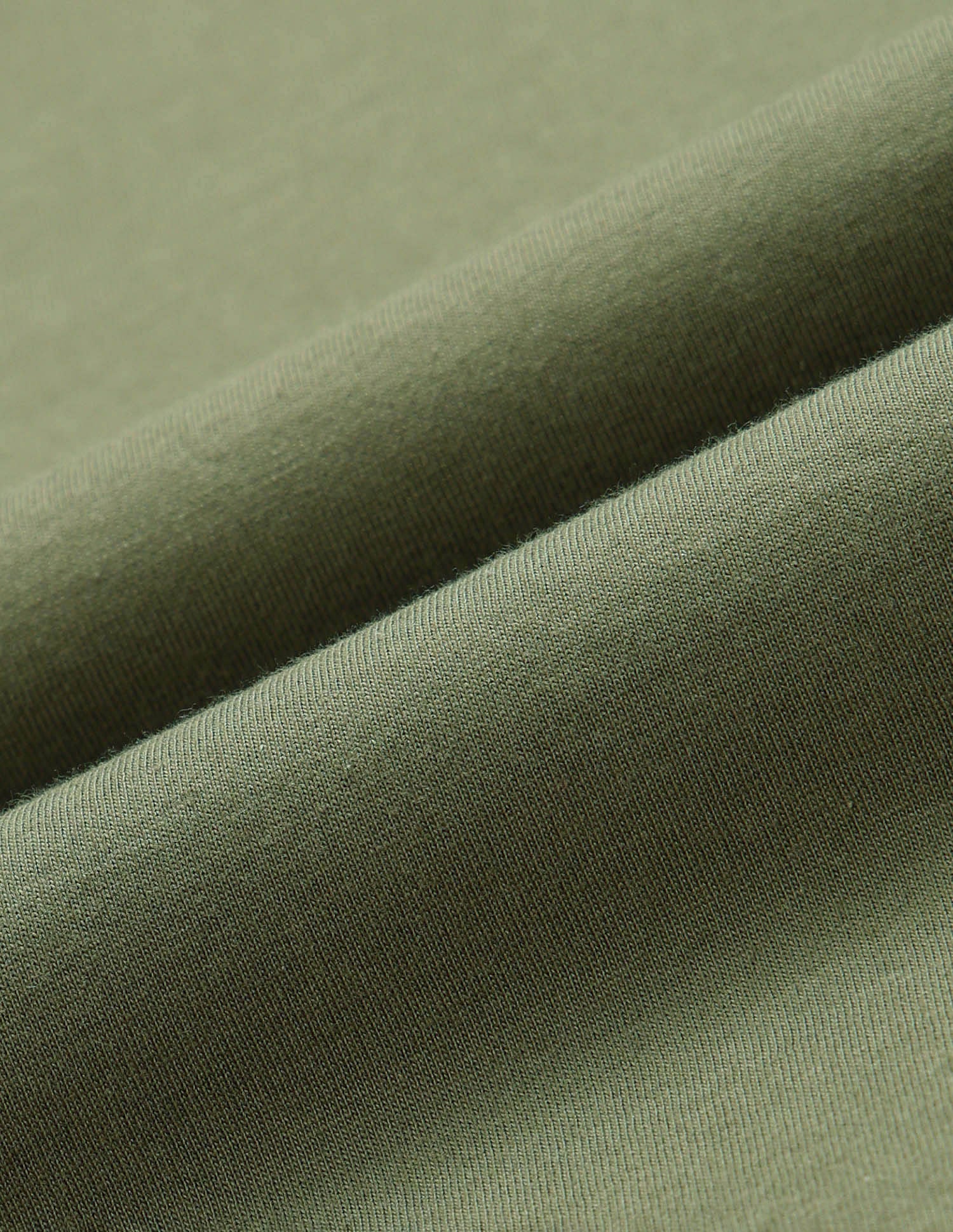 Brand Printed Regular Fit T-Shirt Light Olive - U.S. POLO ASSN. | Large