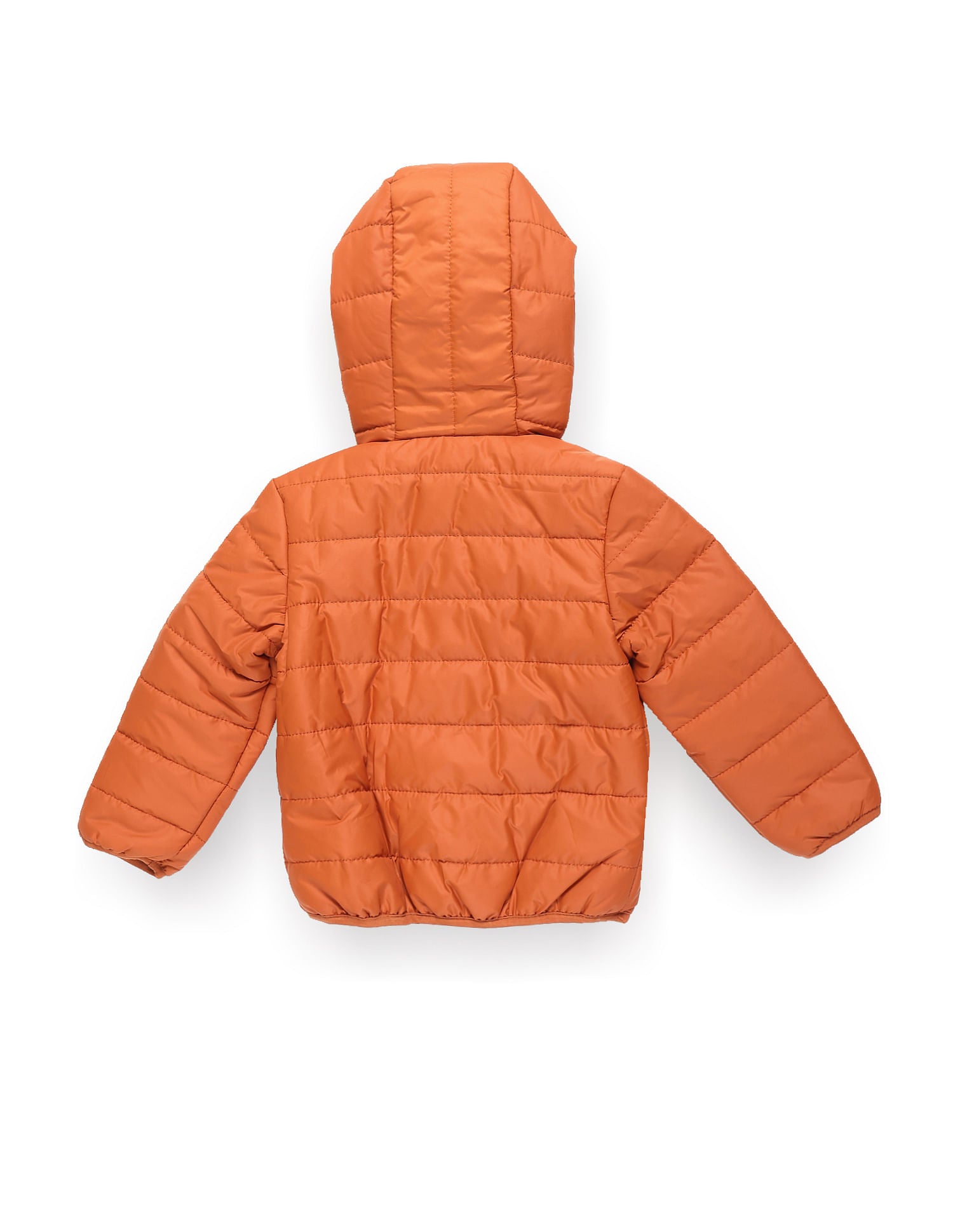 Boys Solid Hooded Puffer Jacket Rust - U.S. POLO ASSN. | Large
