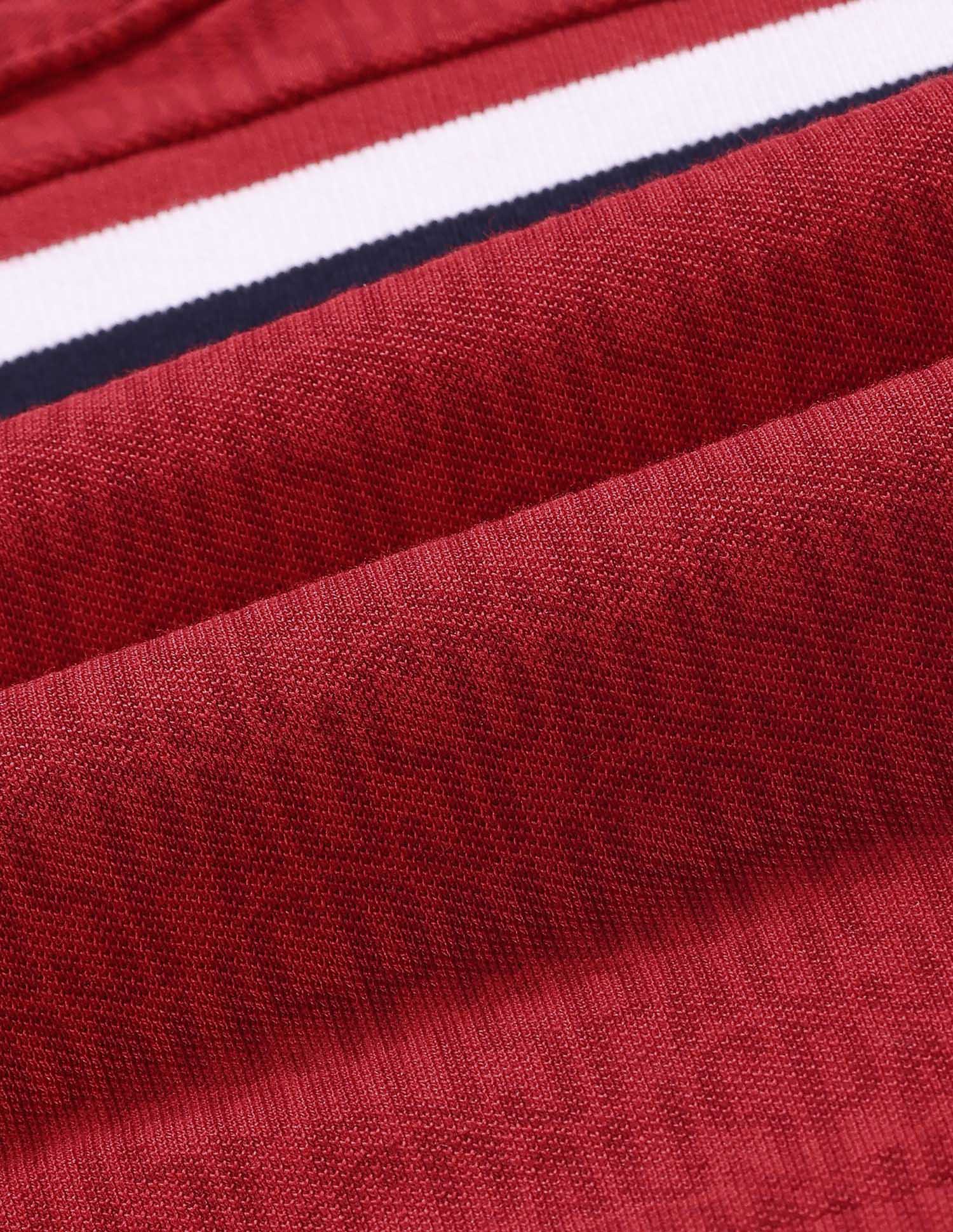Regular fit Striped Polo Shirt Red - U.S. Polo Assn. India | Large