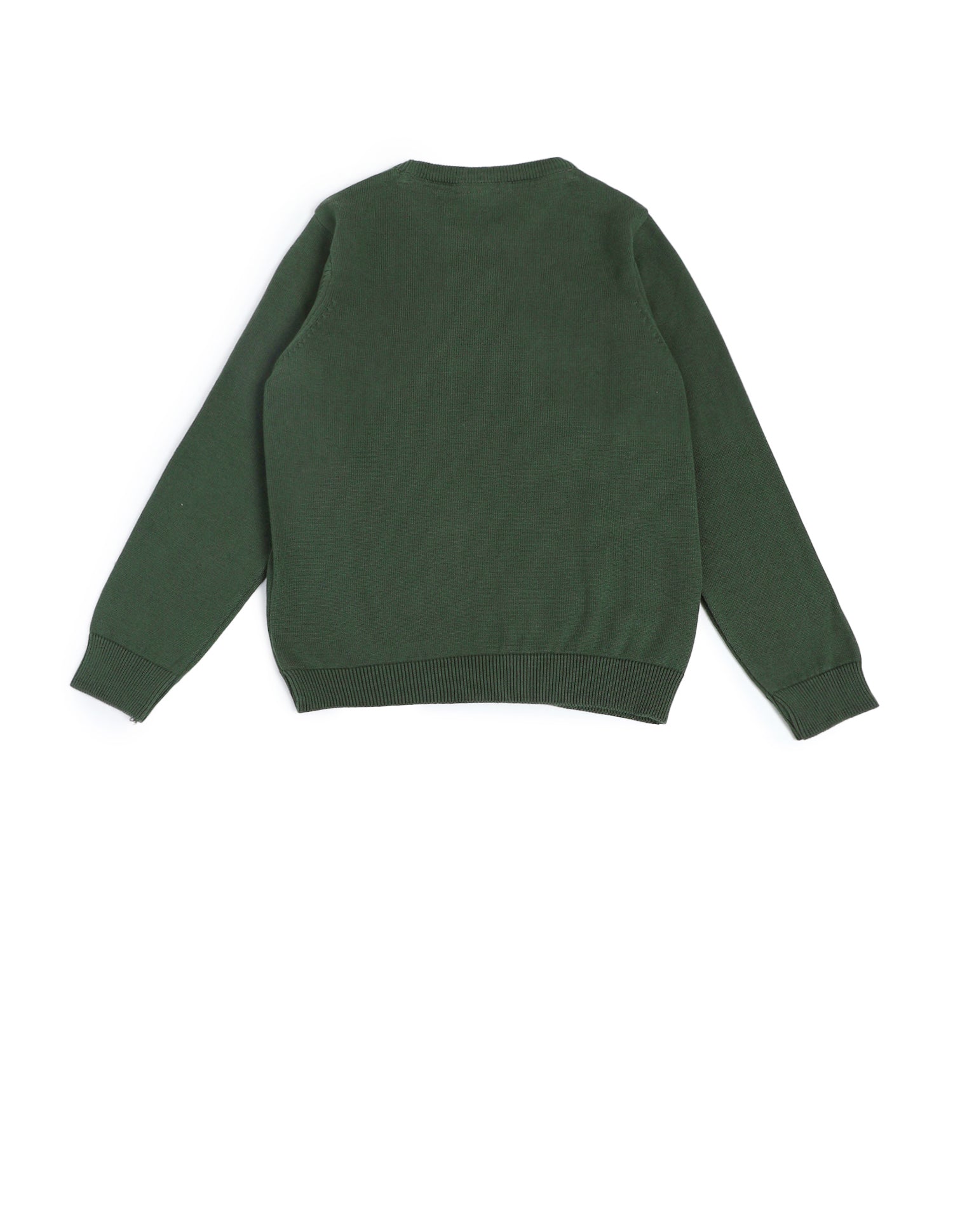 Boys Regular Fit Brand Printed Sweater Dark Green - U.S. POLO ASSN. | Large