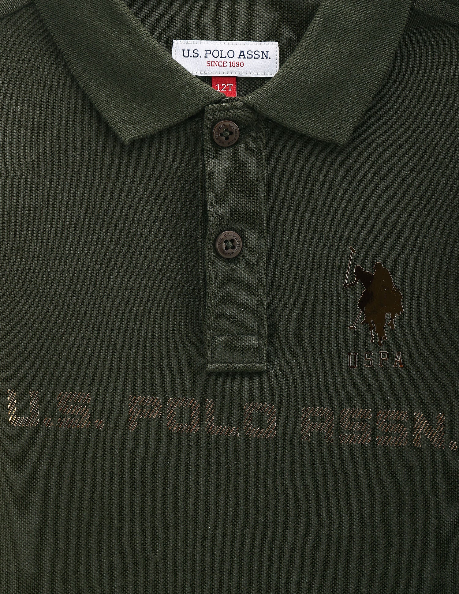 Boys Brand Print Cotton Polo Shirt Green - U.S. Polo Assn. India | Large