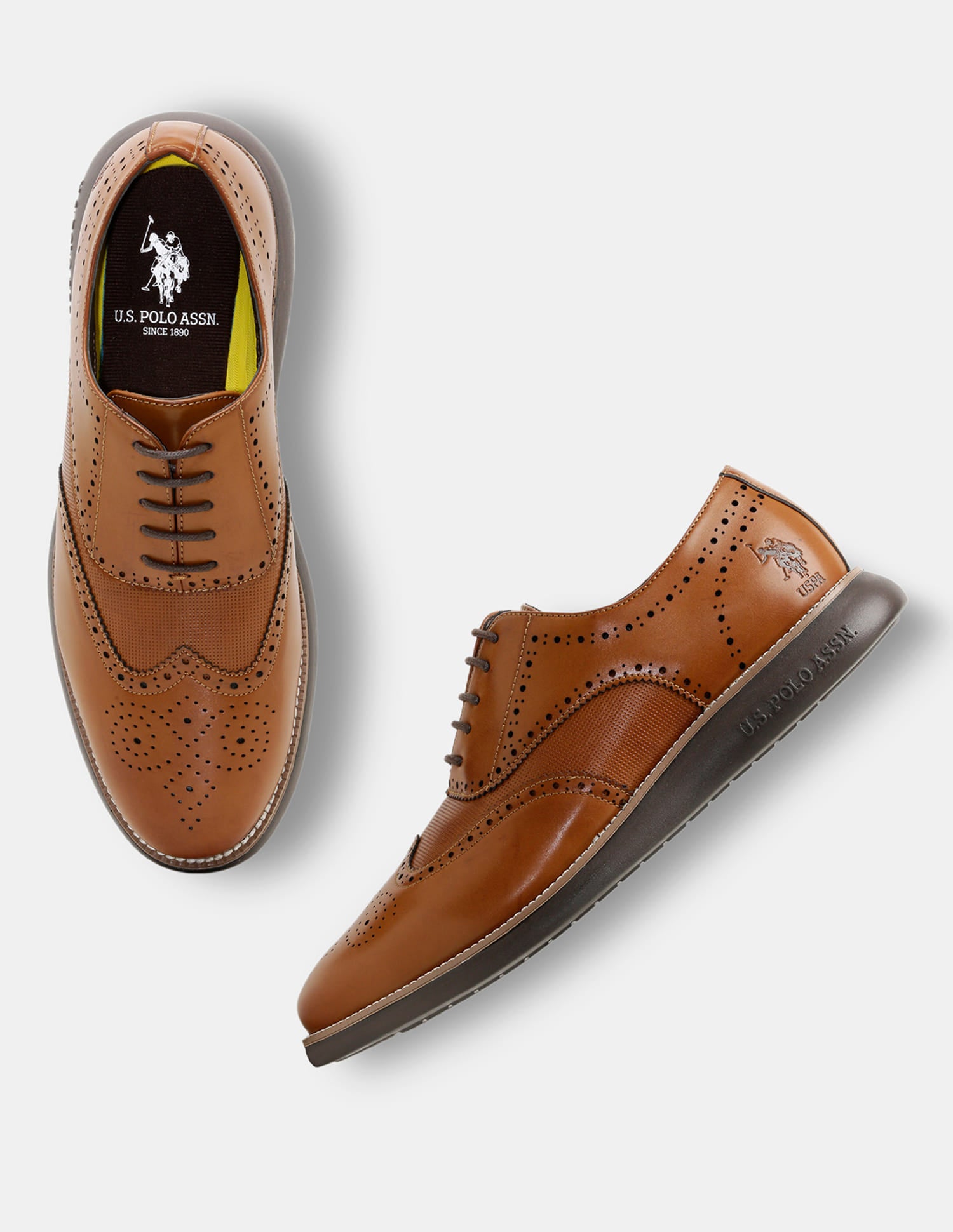 Round Toe Wingtip Marco 2.0 Brogues Tan - U.S. Polo Assn. India | Large