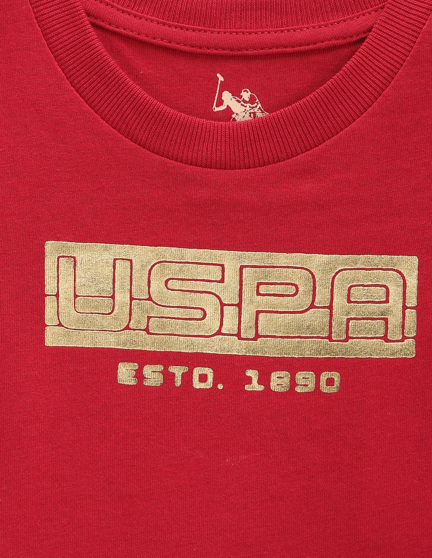 Boys Brand Print Cotton T-Shirt Maroon - U.S. Polo Assn. India | Large